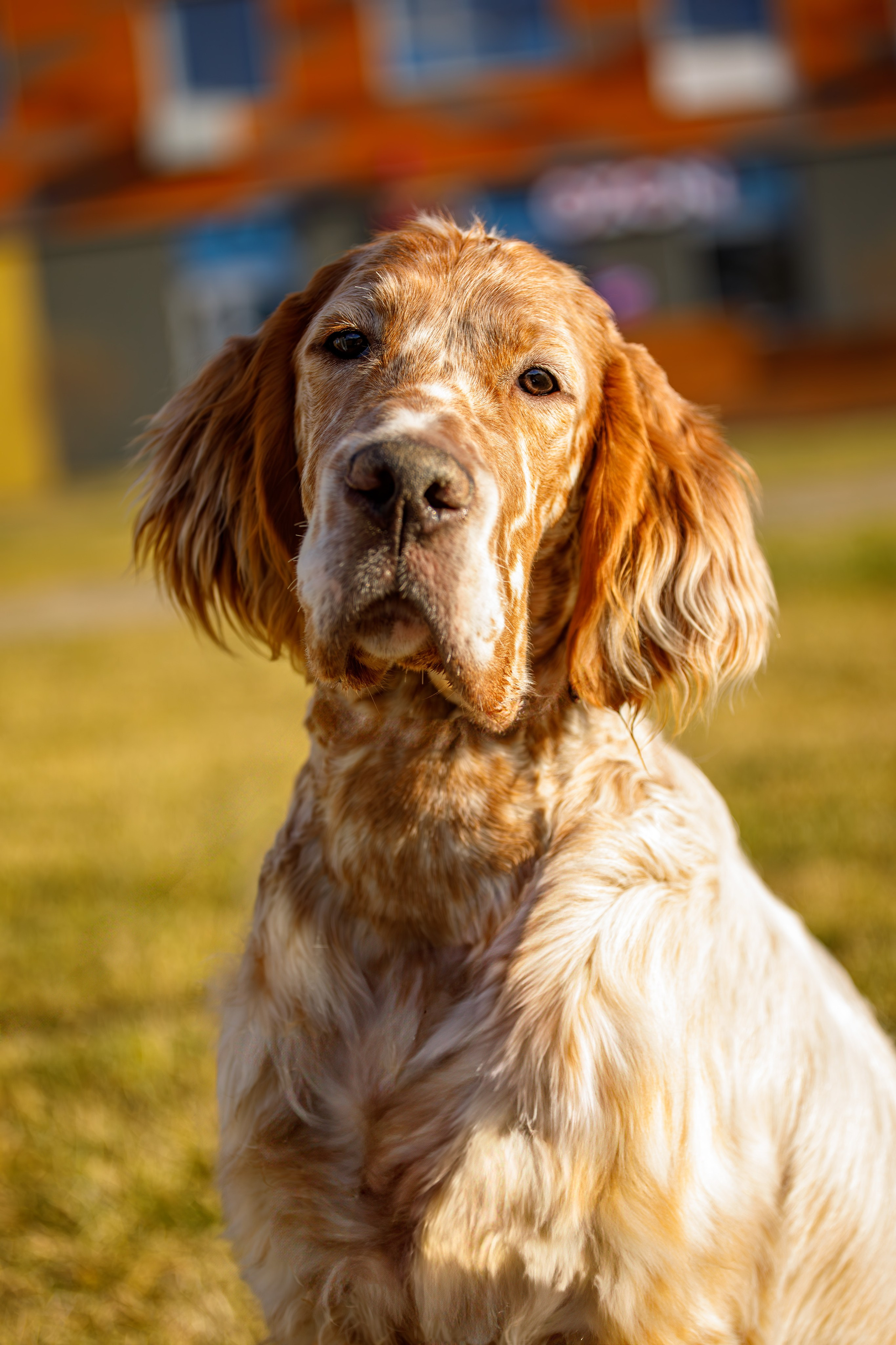 Андрей и Милан. Фотограф Екатерина Козловская