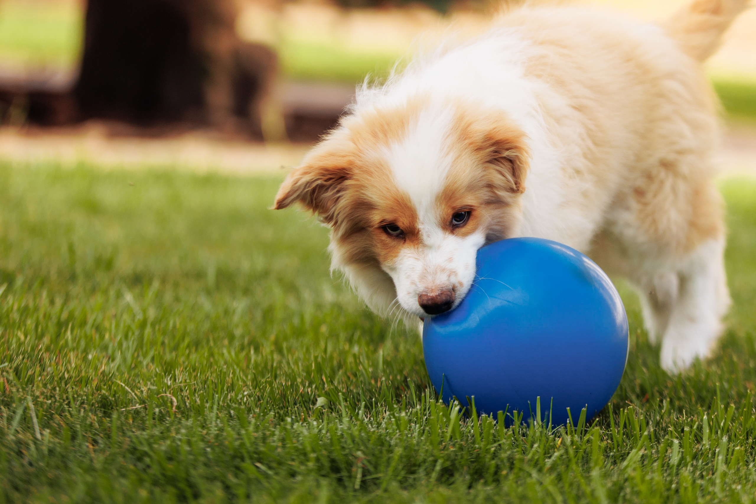 СОлнечные. О нас
