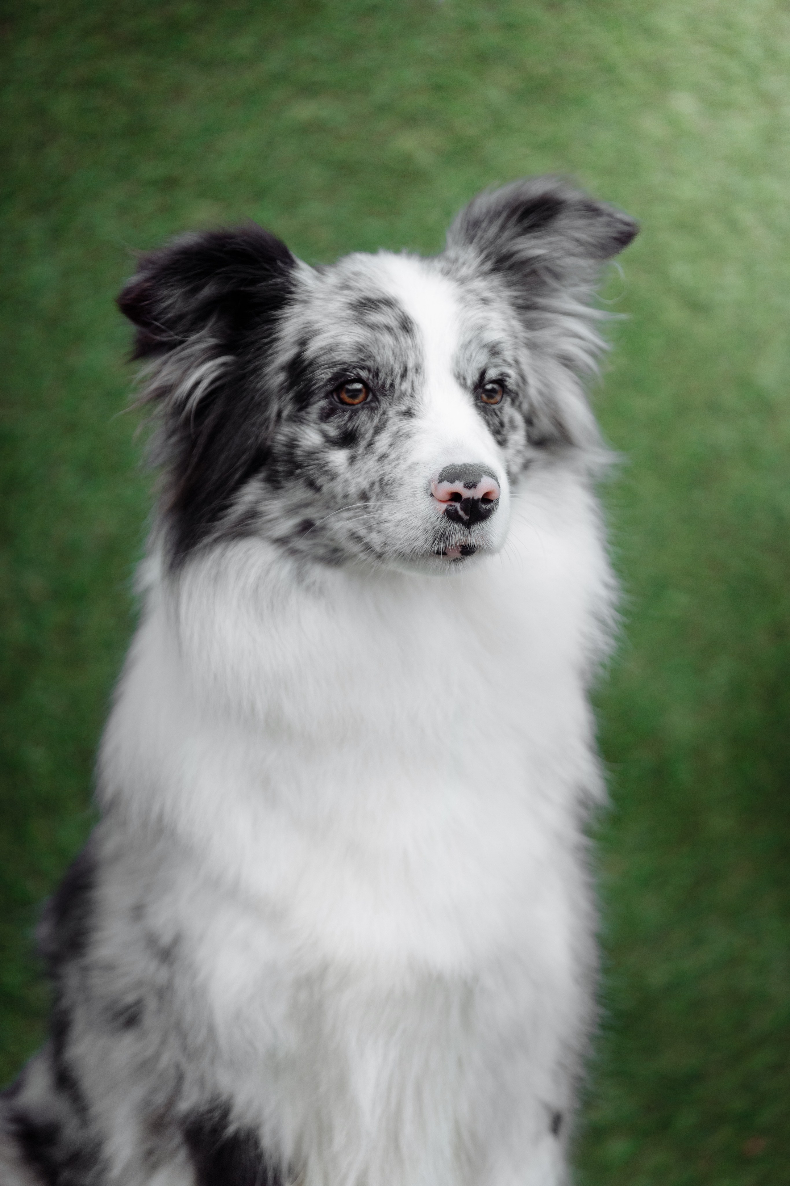 Свое место. О нас