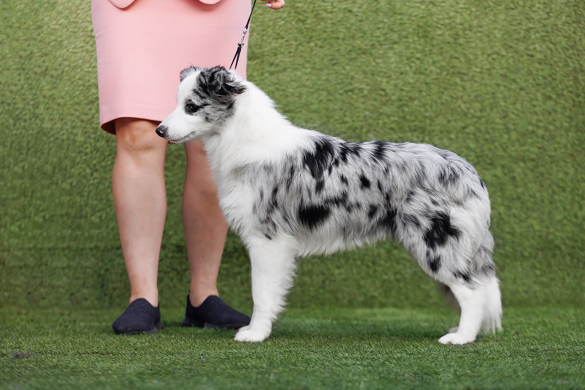 Трава у дома. О нас