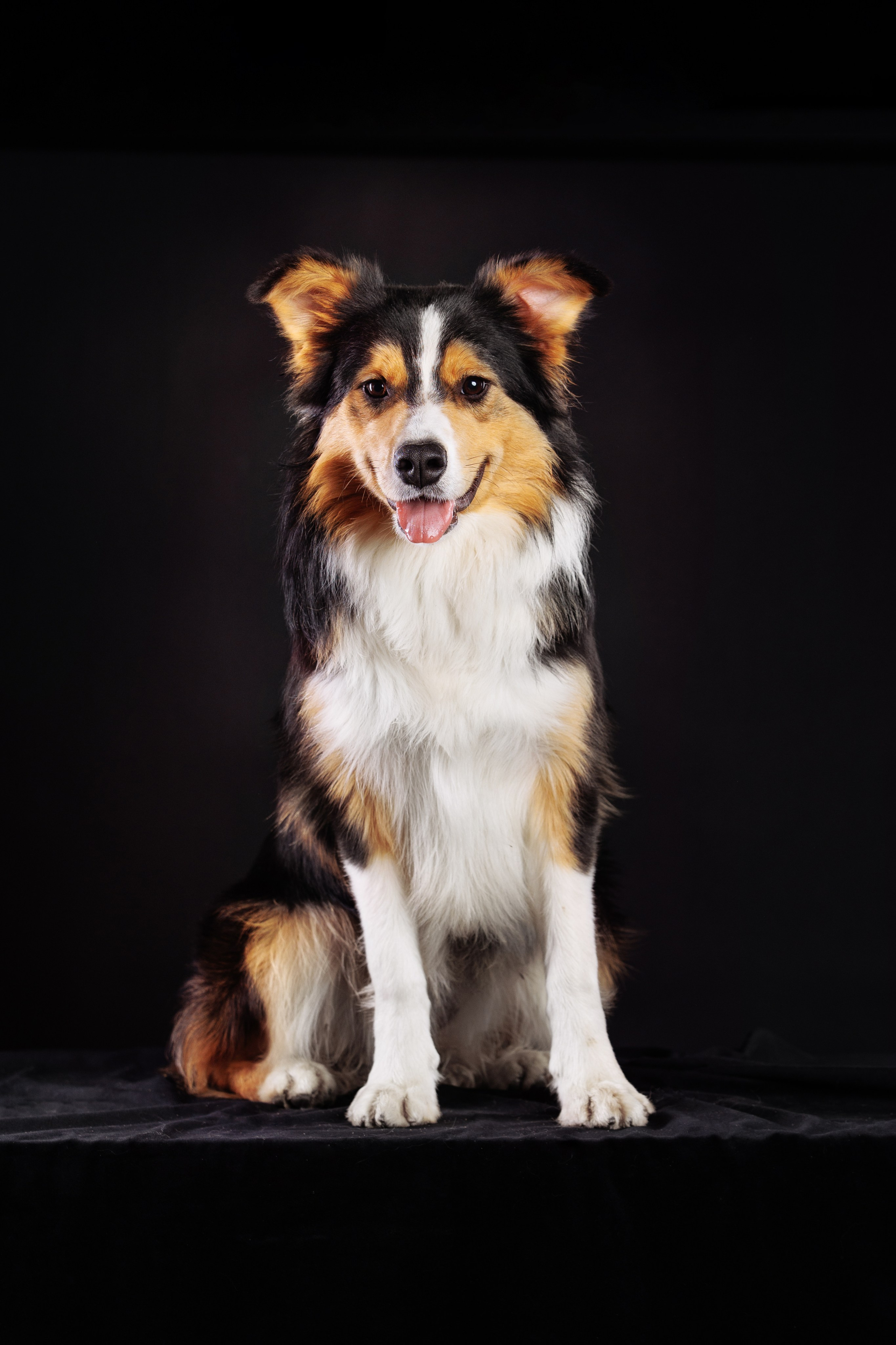 С цыпами. О нас