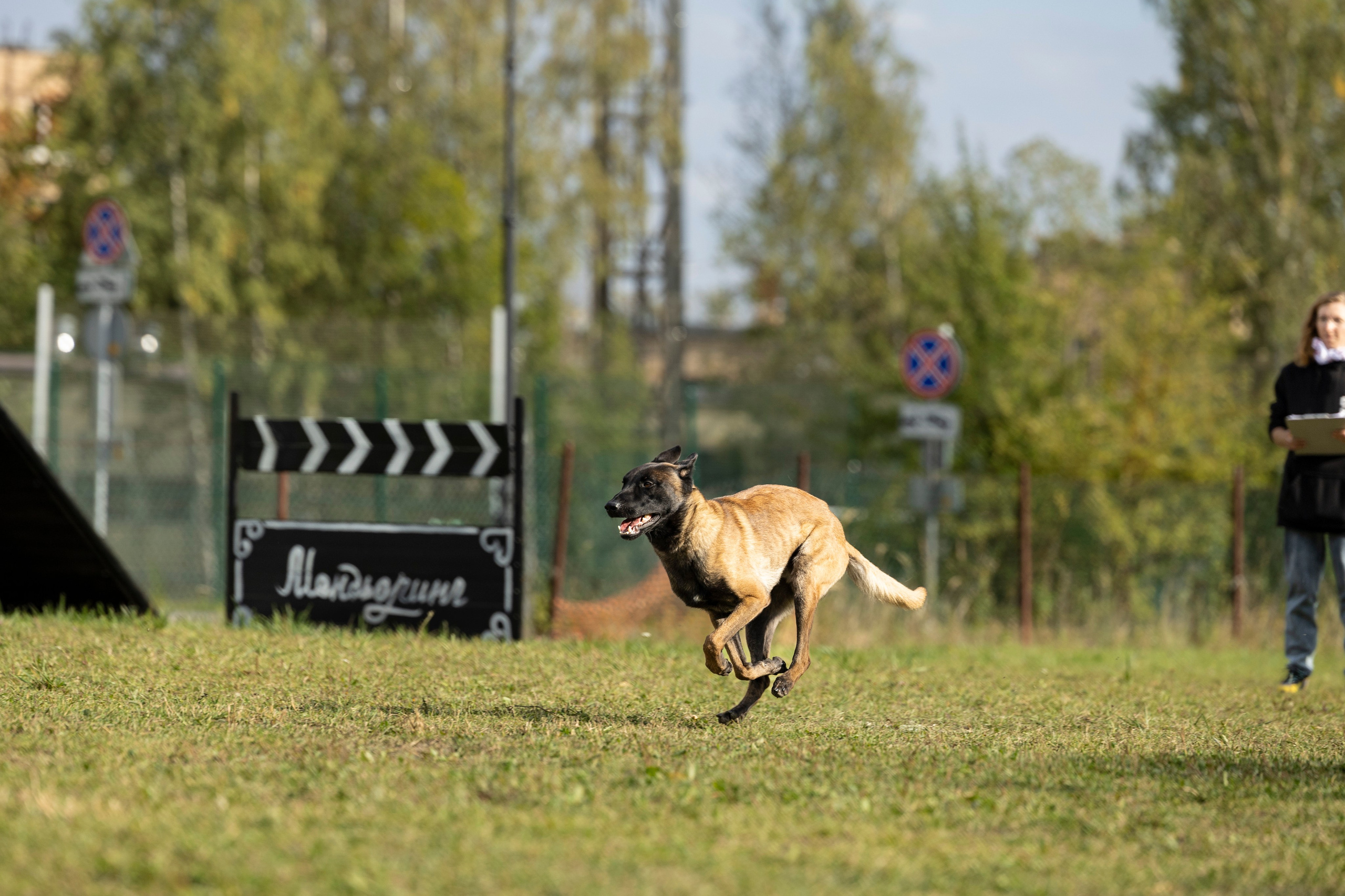 Испытания по Мондьорингу г. Пушкин. Фотограф-анималист Анна Маринич
