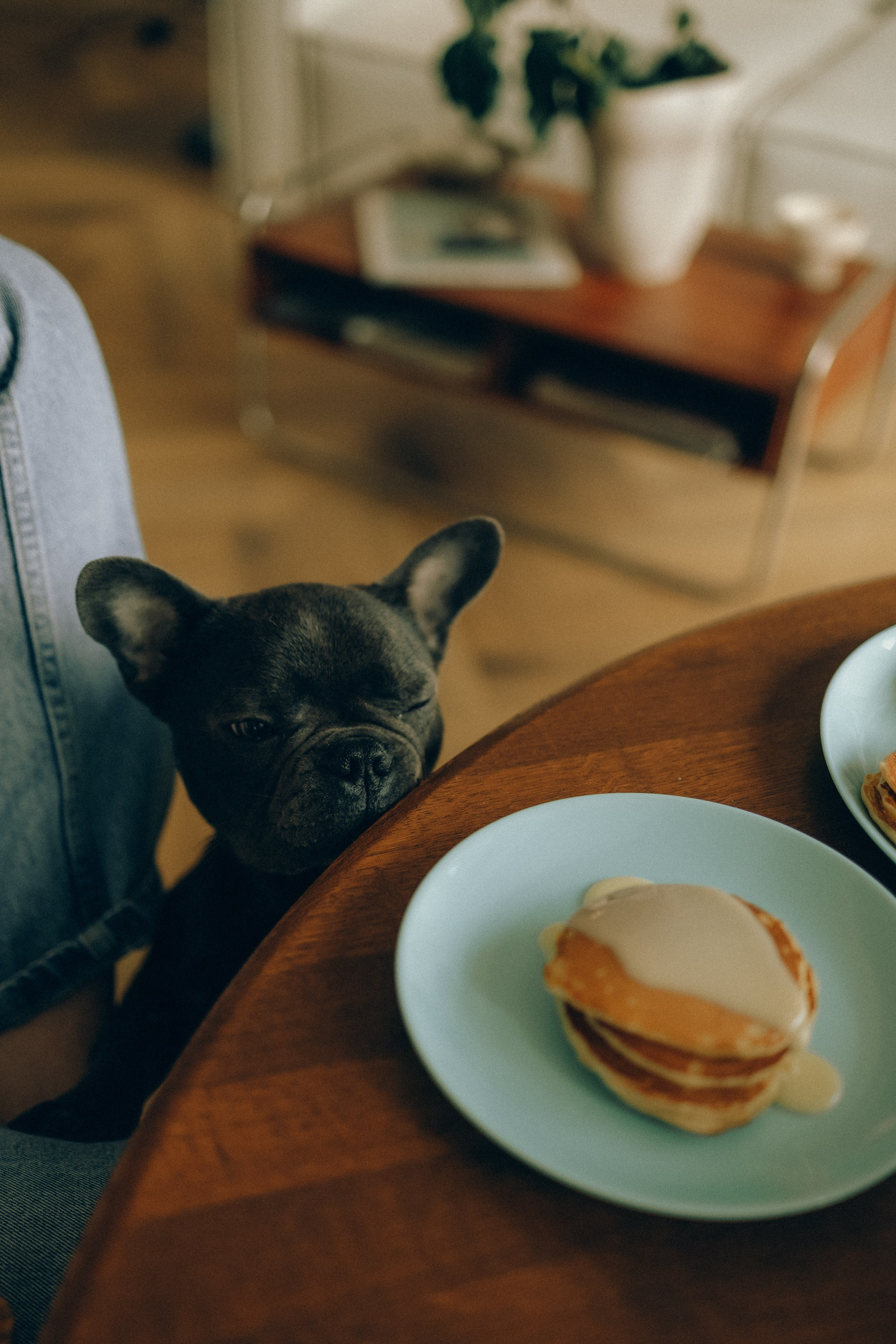 Ксюша, Лёша и Марсель. Фотограф Анна Велёнда