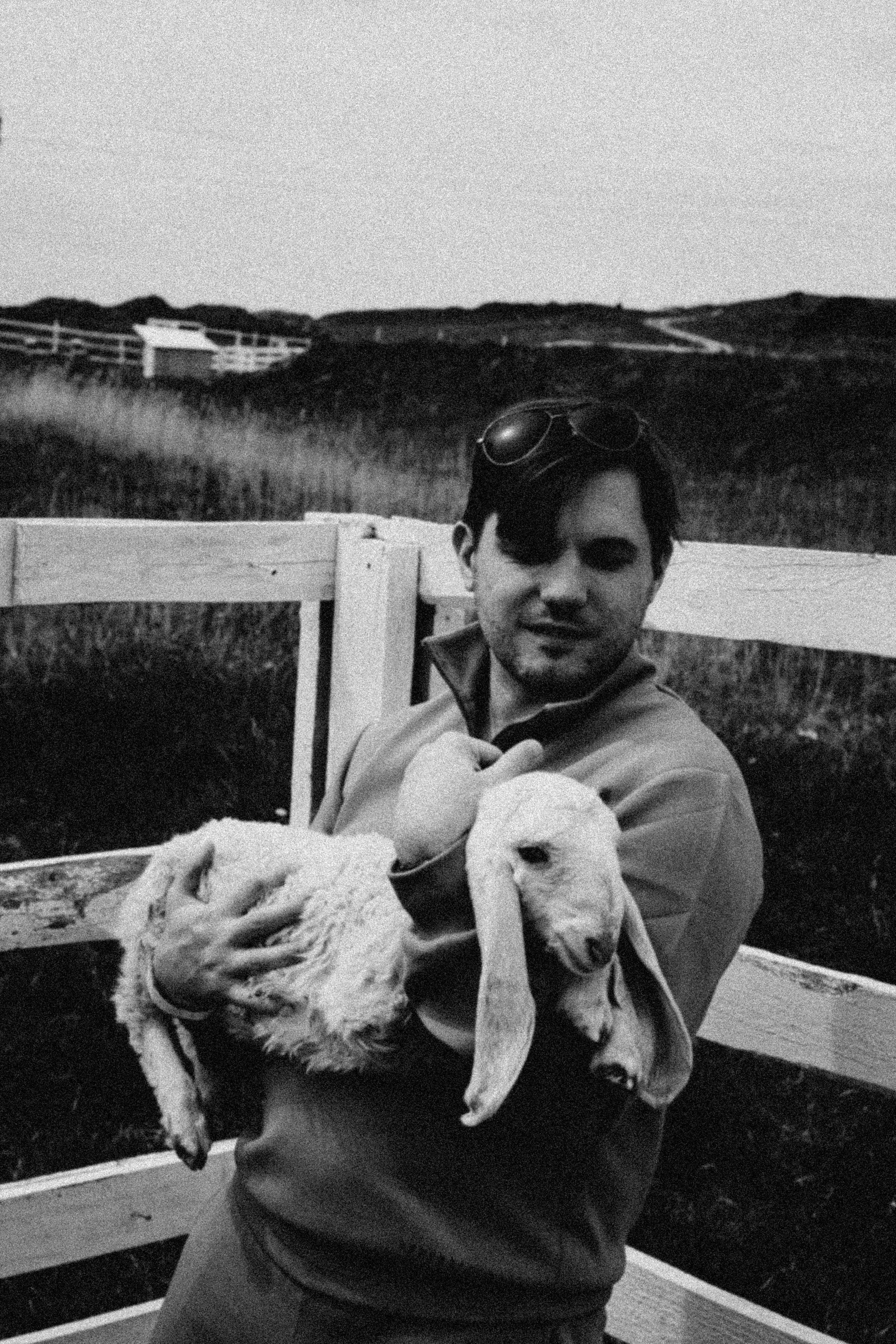 Ферма Альпак. Профессиональный фотограф, Санкт-Петербург — Виктория Богомолова