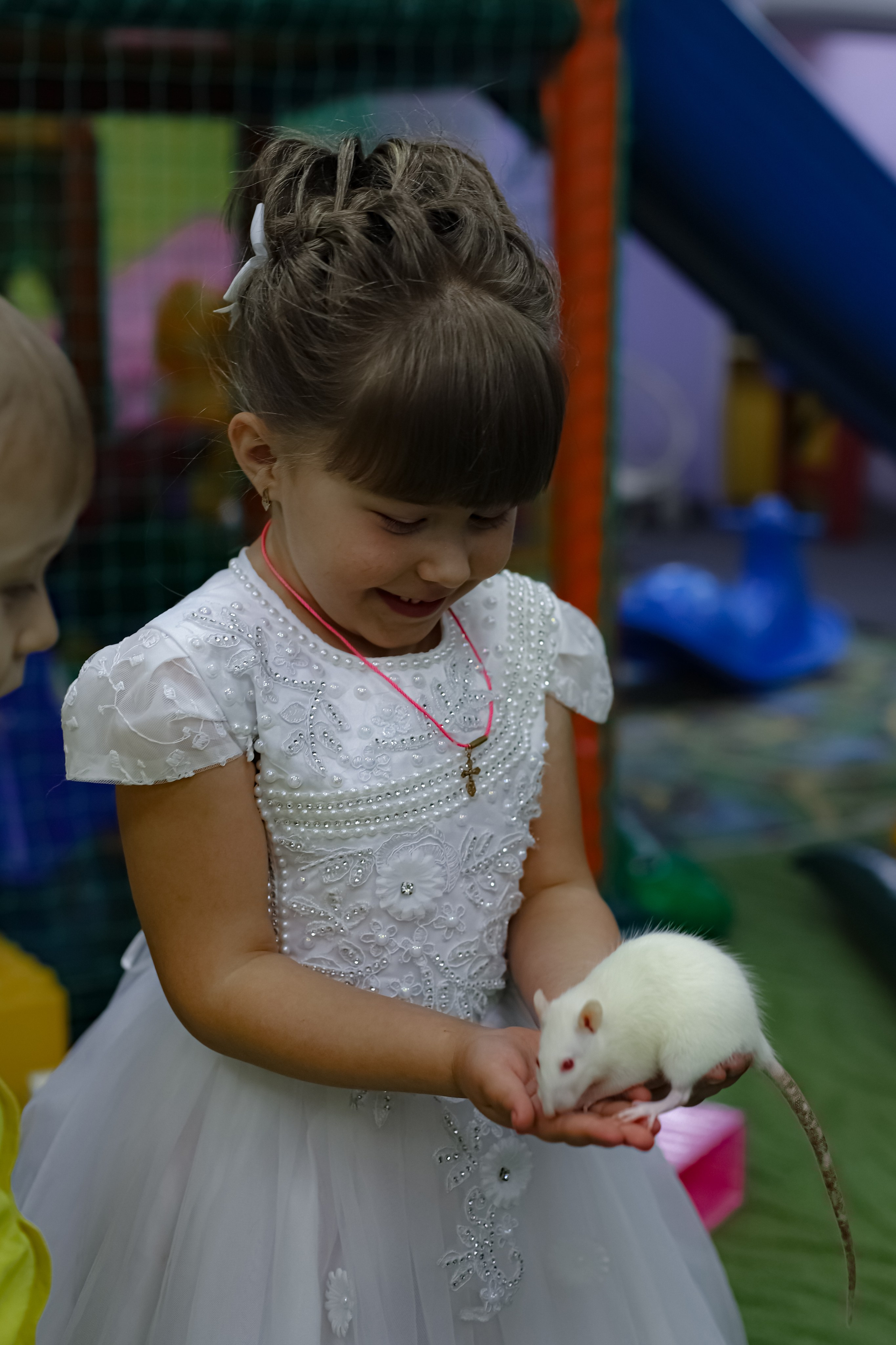 POLINA 5 YEARS. Photokarish