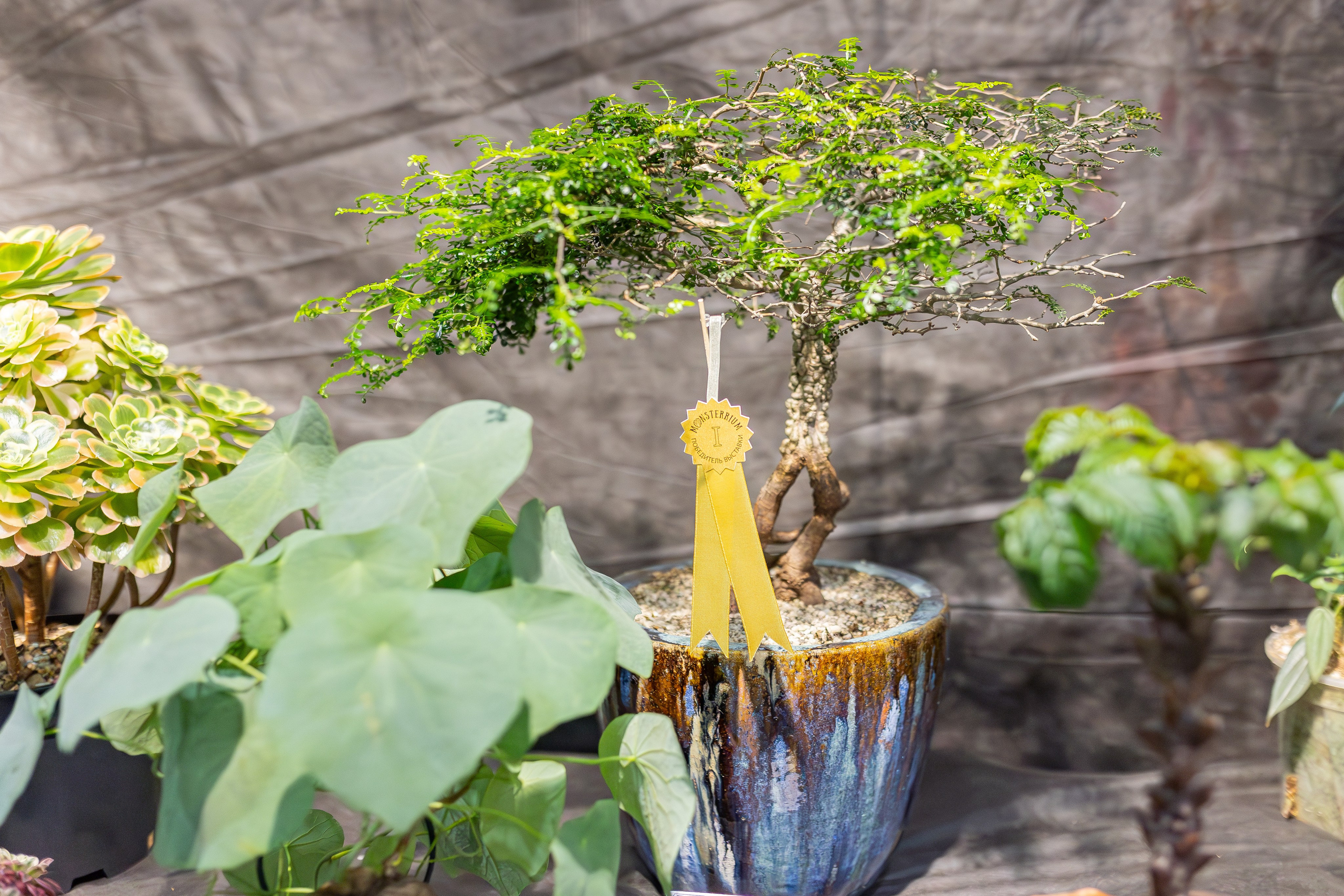 Монстериум апрель 2026. Александра Куликова фотограф, Москва