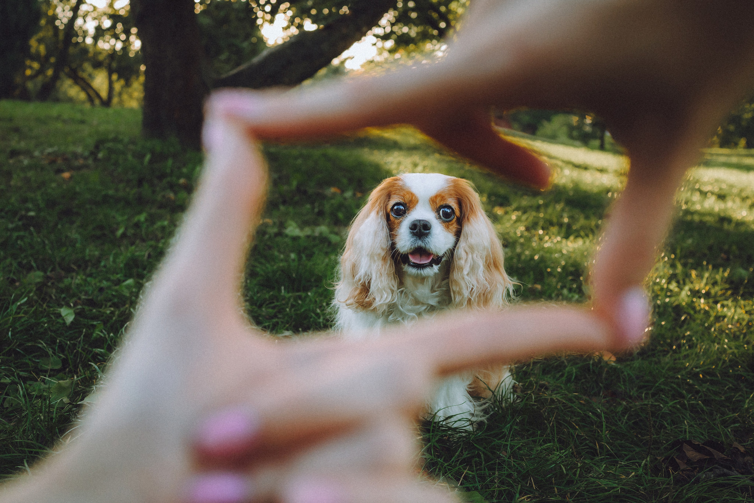 Наташа и Вики