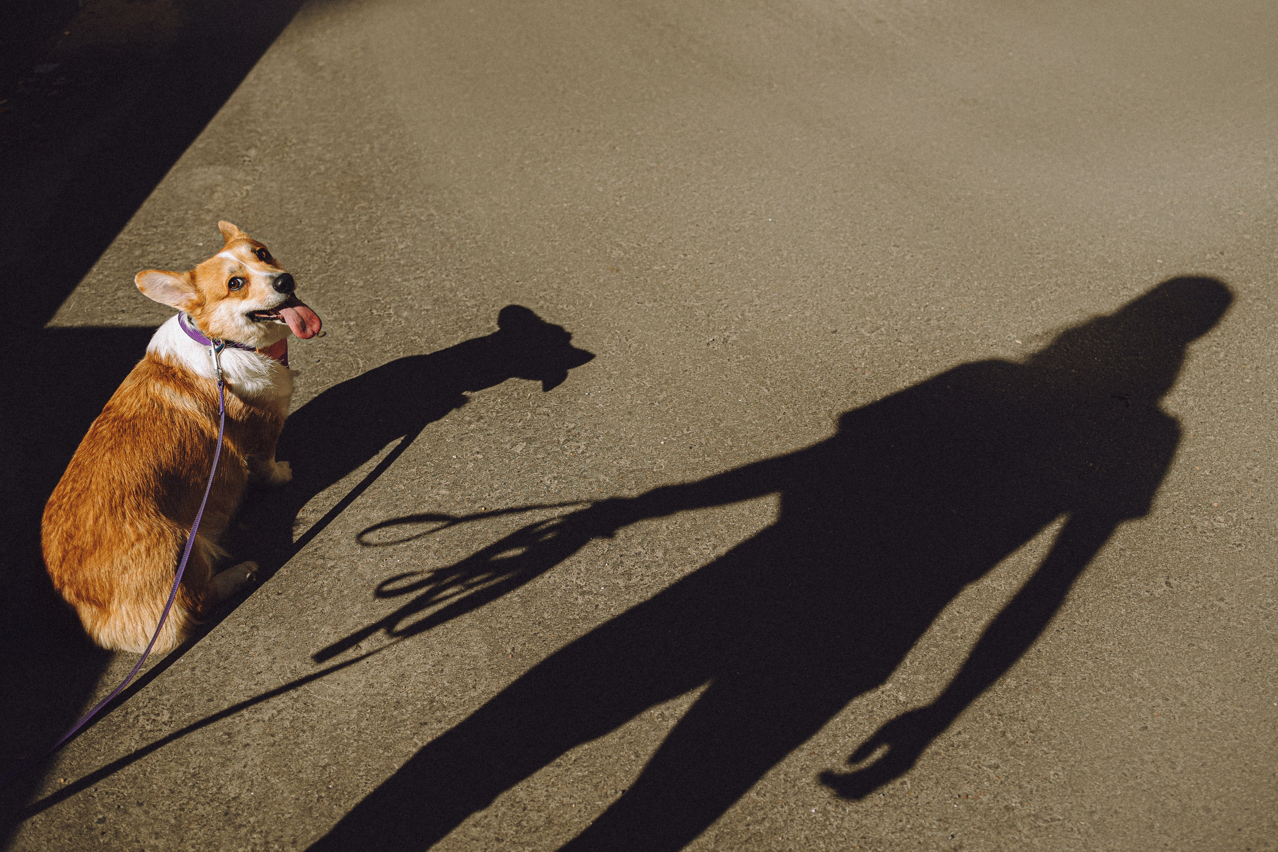 Вика и Мейзи