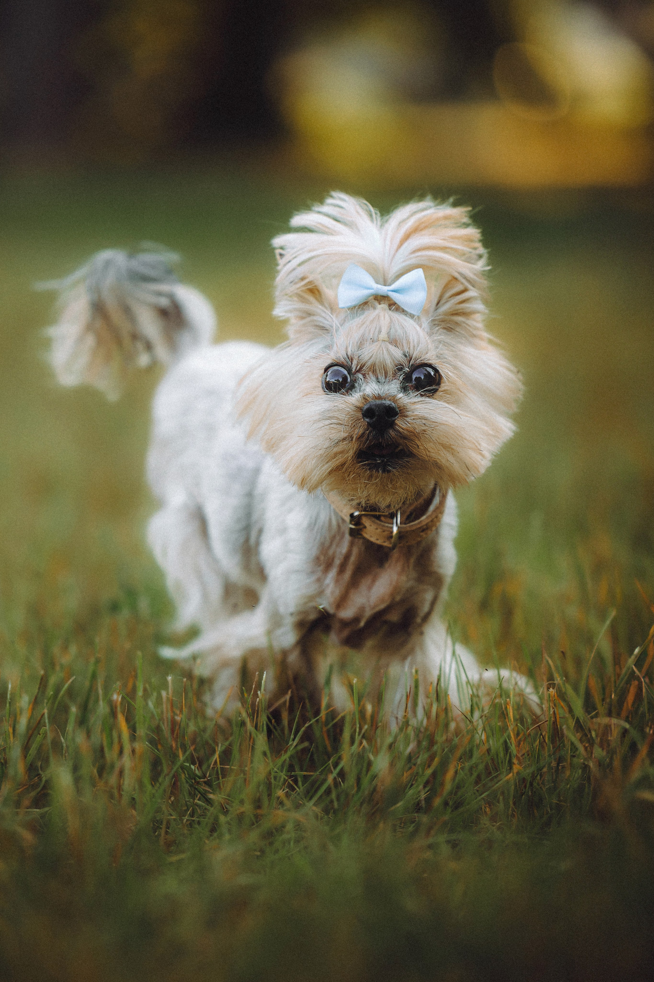 Дженни, Оливия и их семья