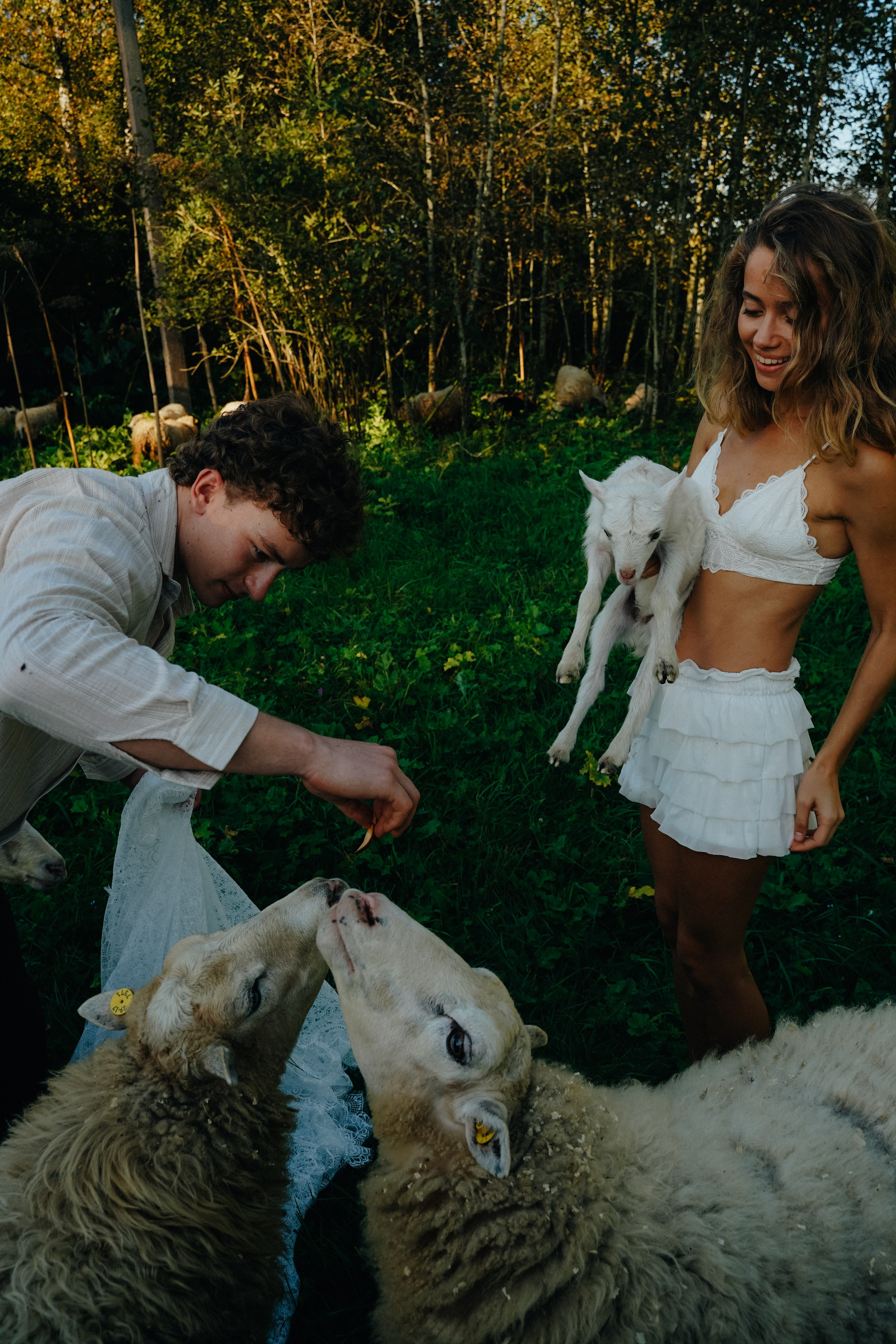 Свадьба на ферме