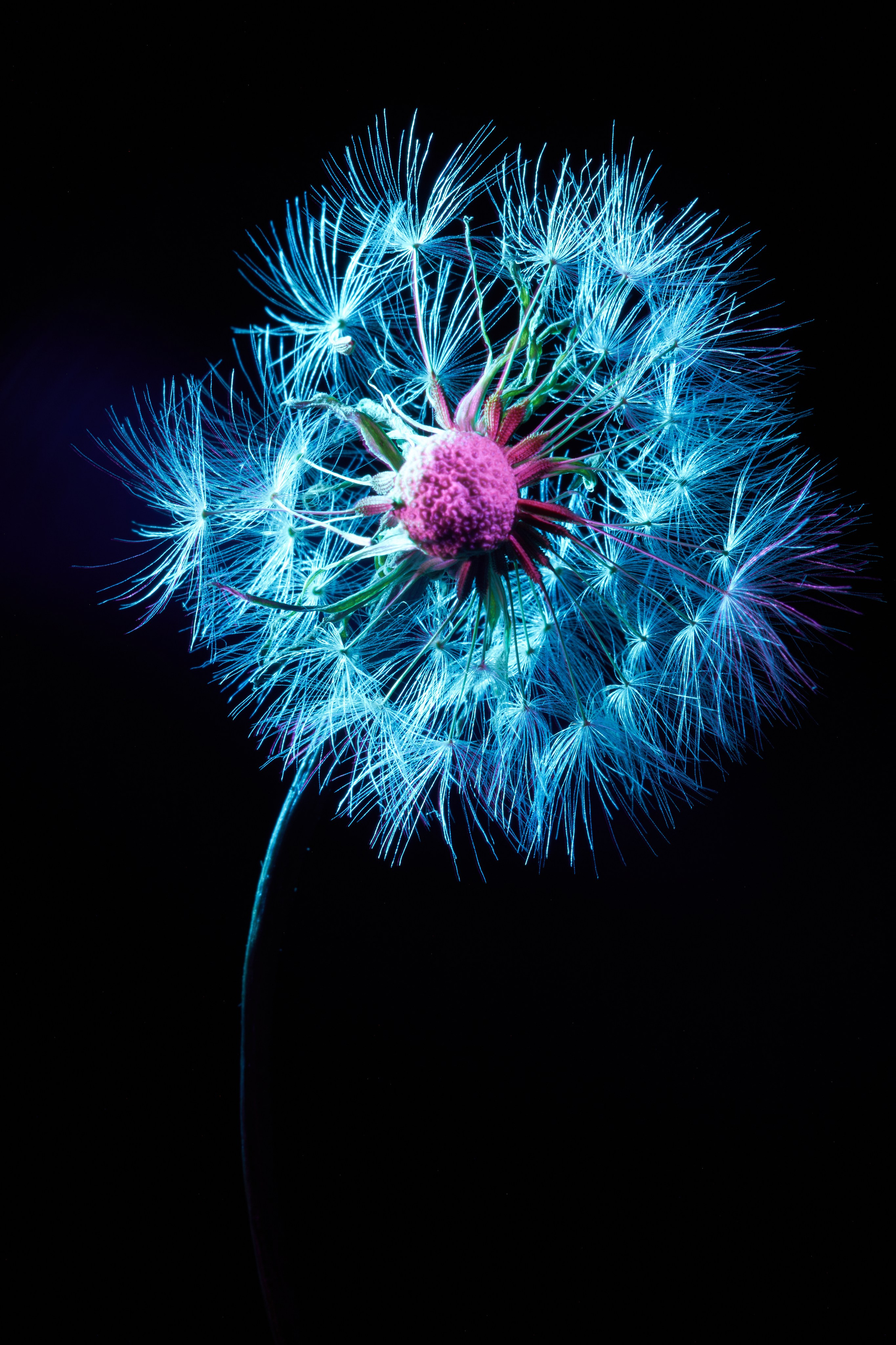 «Красок Тьма Полна». Арт-фотограф во Владивостоке Дмитрий Осипчук