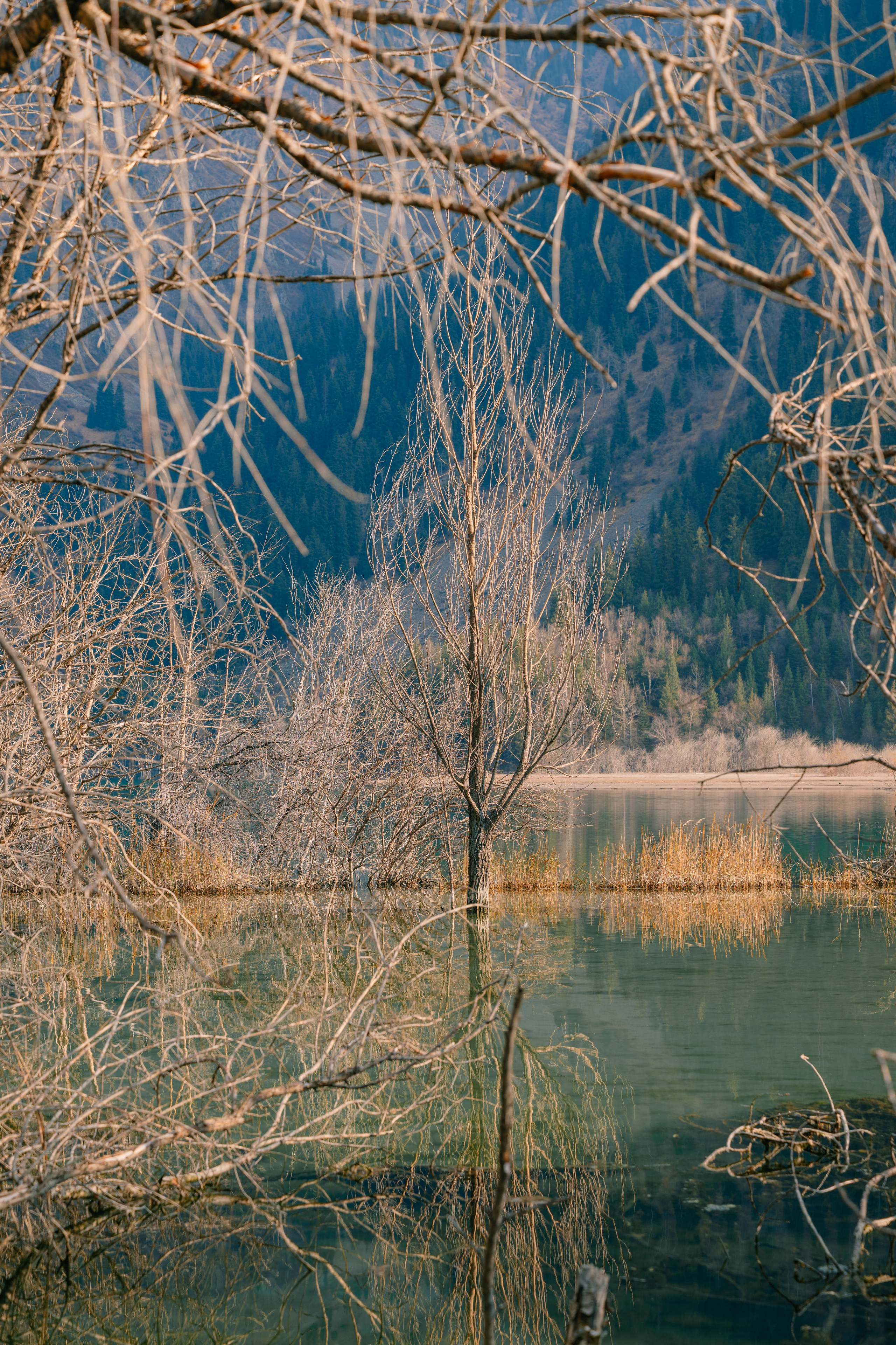 Озеро Иссык, осень 2025. Фотограф в Алматы — Алексей Коньков | Репортаж, свадьбы, портреты