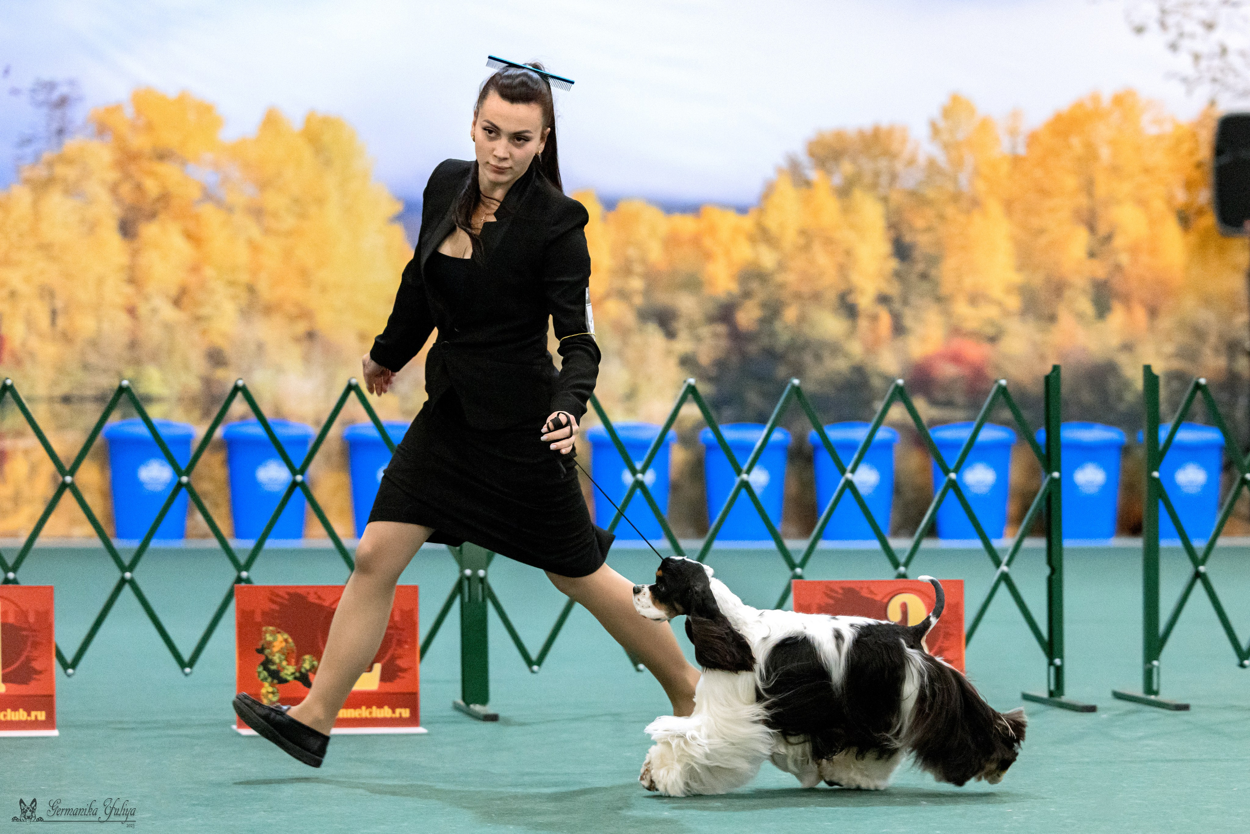 Сфера 29.10,Крокус 4.11,Сфера 12.11.2023. Фотограф-анималист Юлия Германика