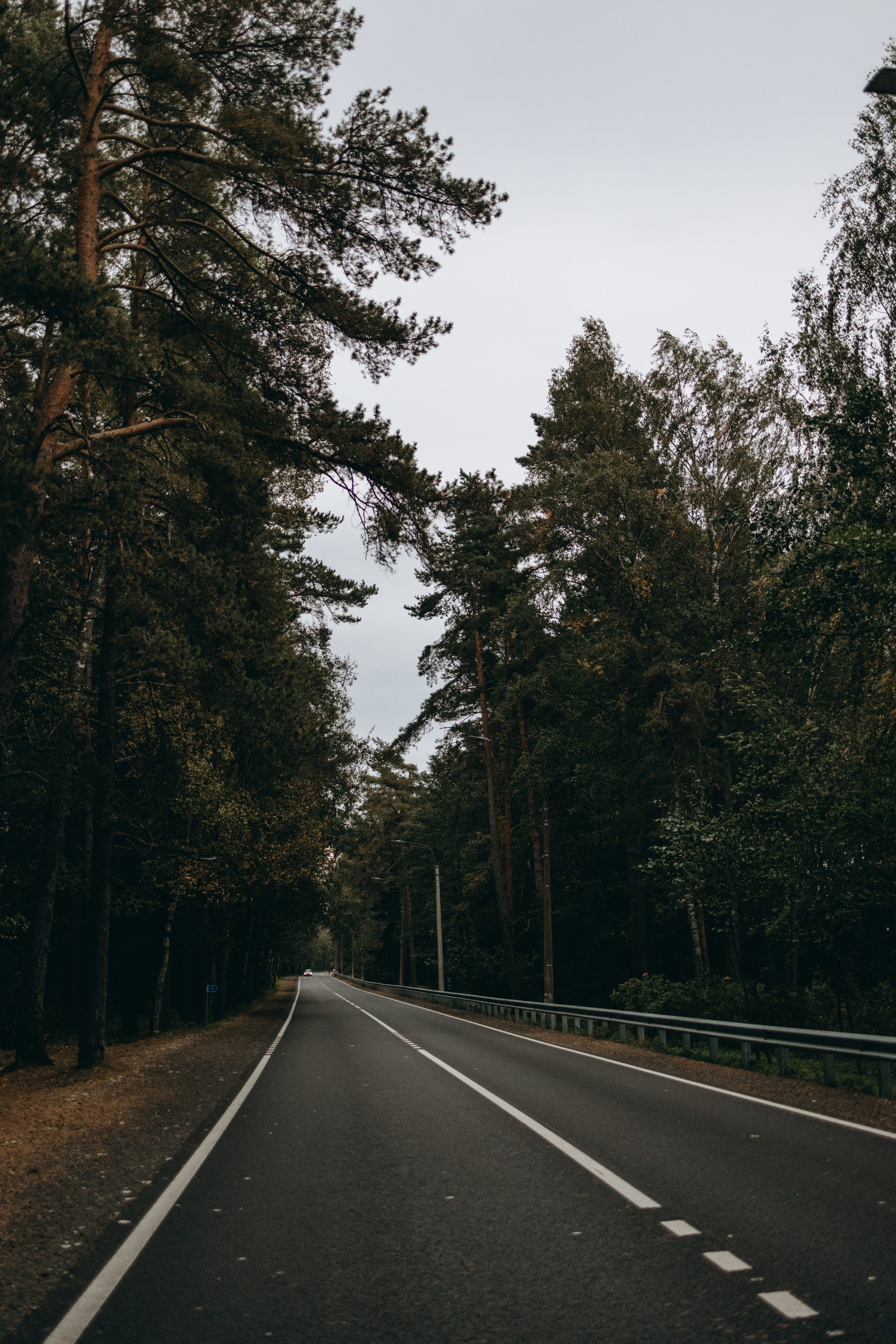 Фоси и его семьи. Фотограф — Анималист | Санкт-Петербург