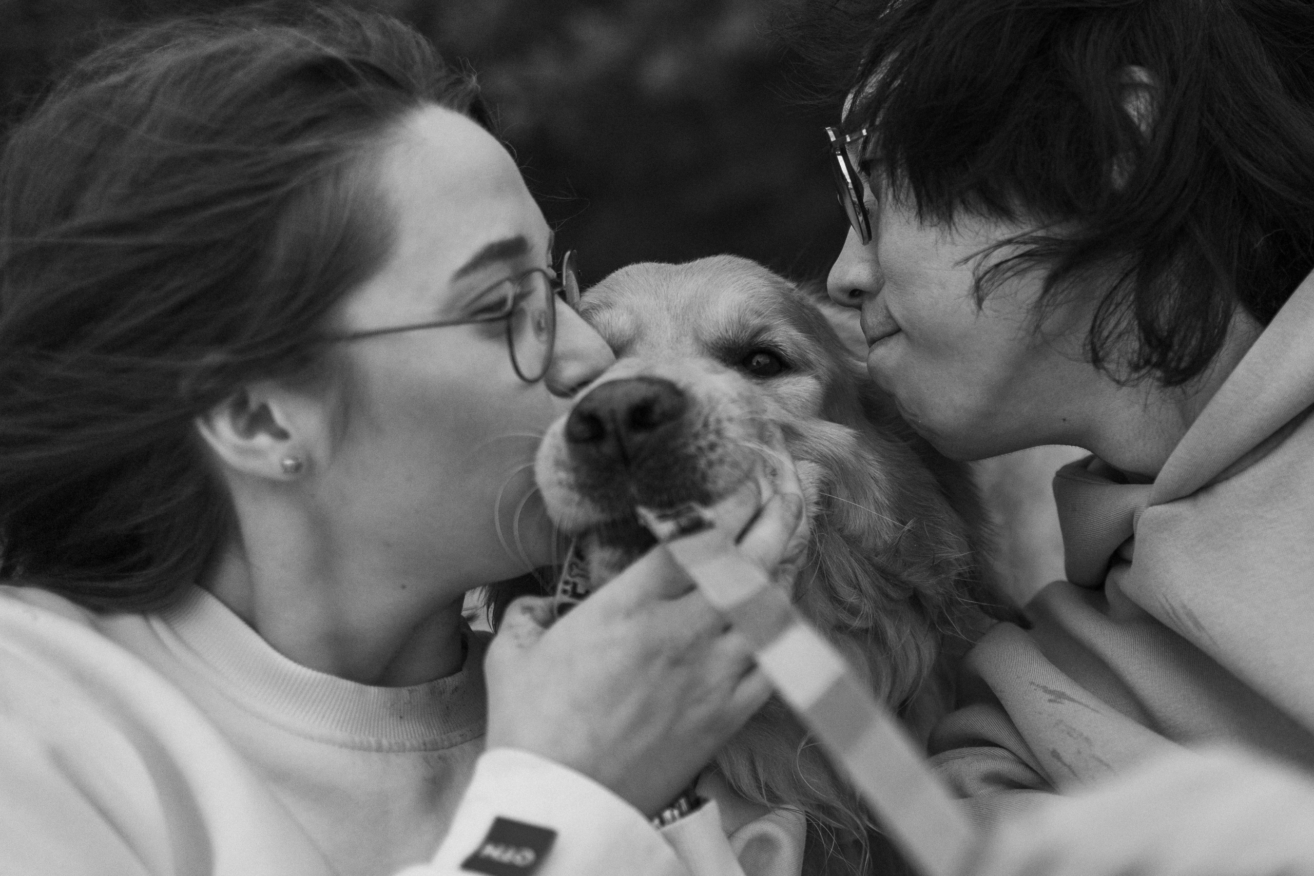 Фоси и его семьи. Фотограф — Анималист | Санкт-Петербург