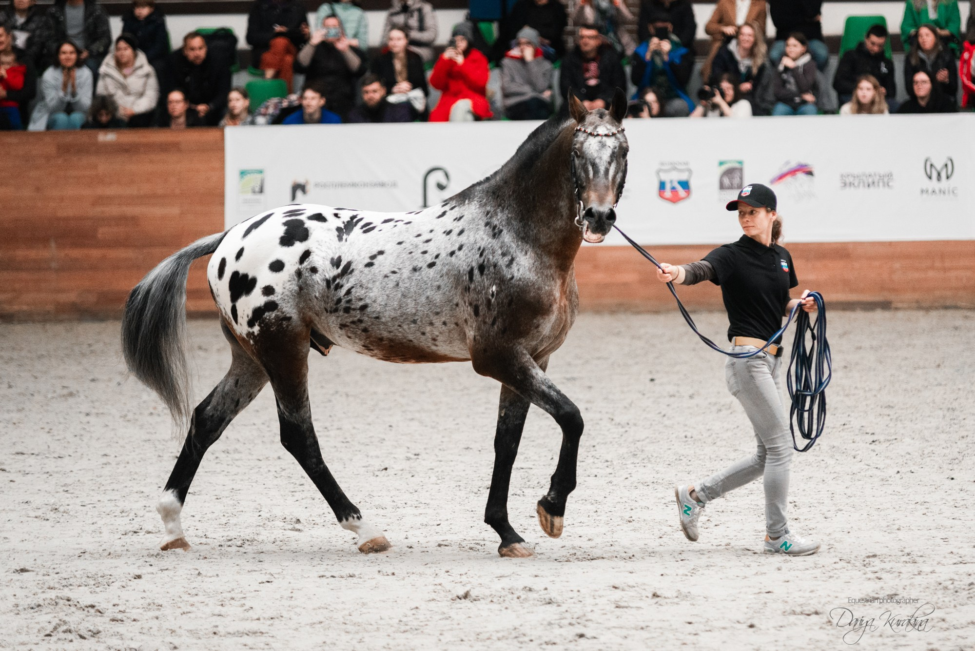 8-я международная выставка Конная Россия. Конный фотограф Куракина Дарья • Фотосессии с лошадьми