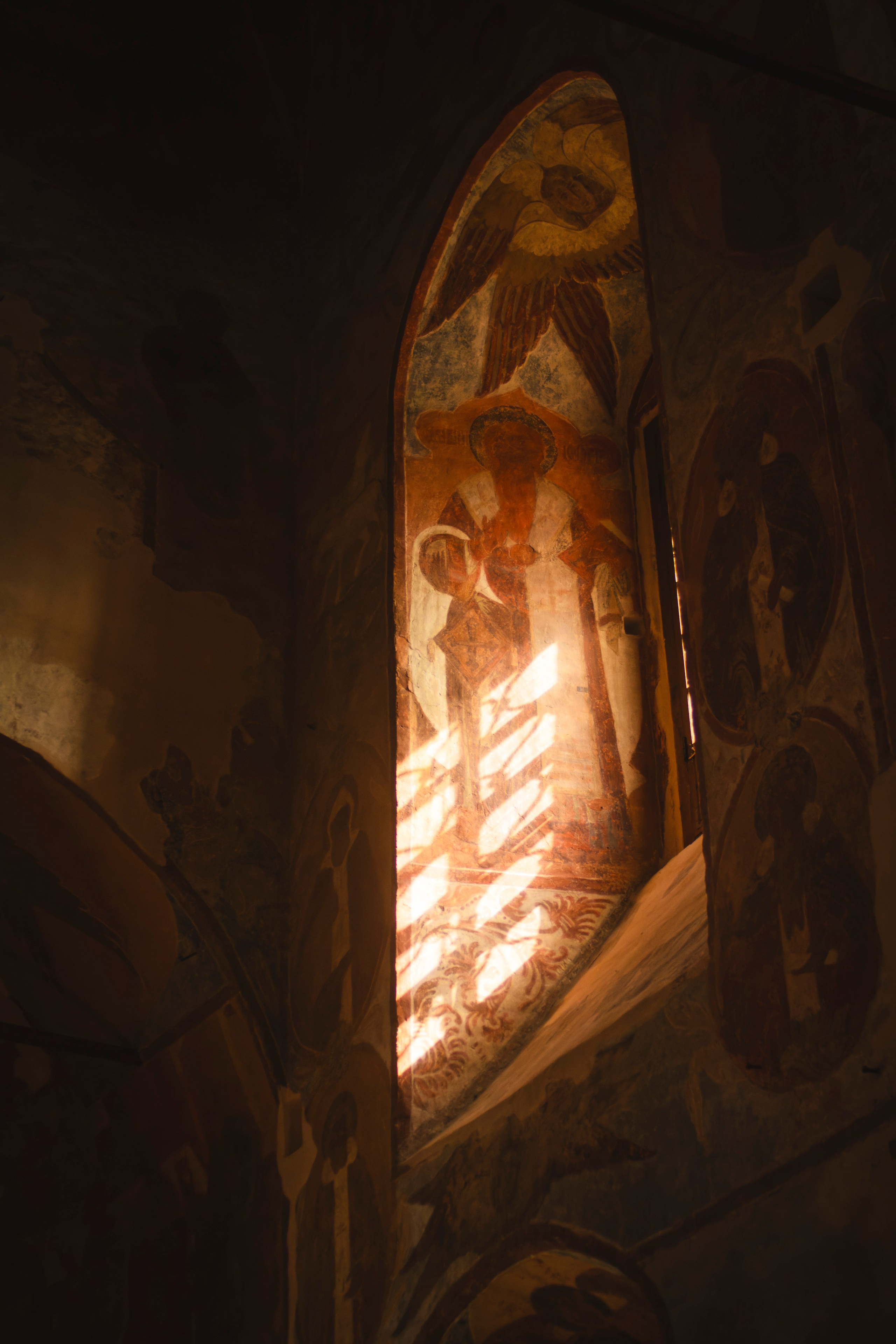 Из наблюдений. Плак или Квак