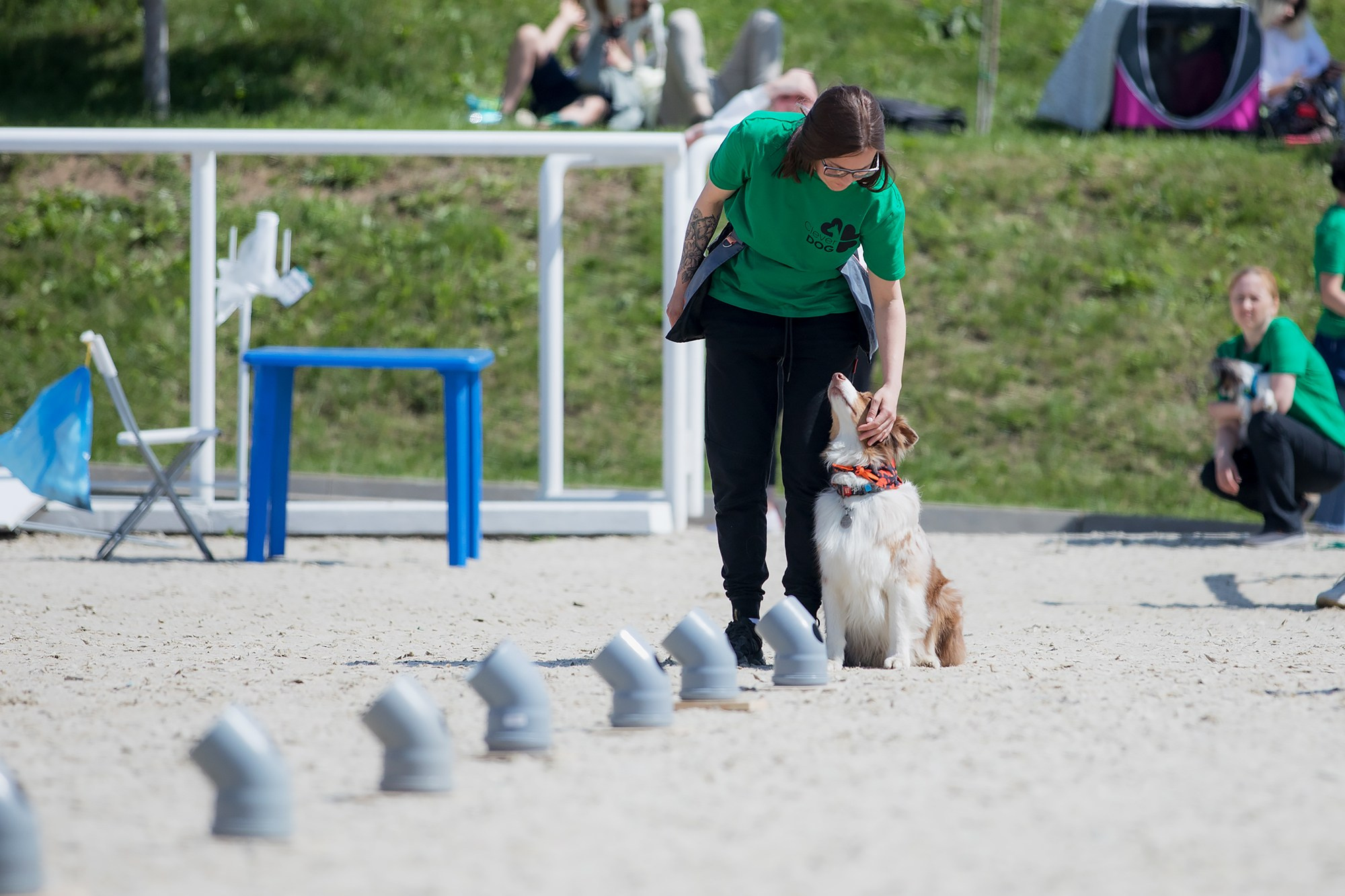 Показательные выступления по NoseWork на выставке «Россия». Фотограф-анималист Mary Mart — Москва, Питер