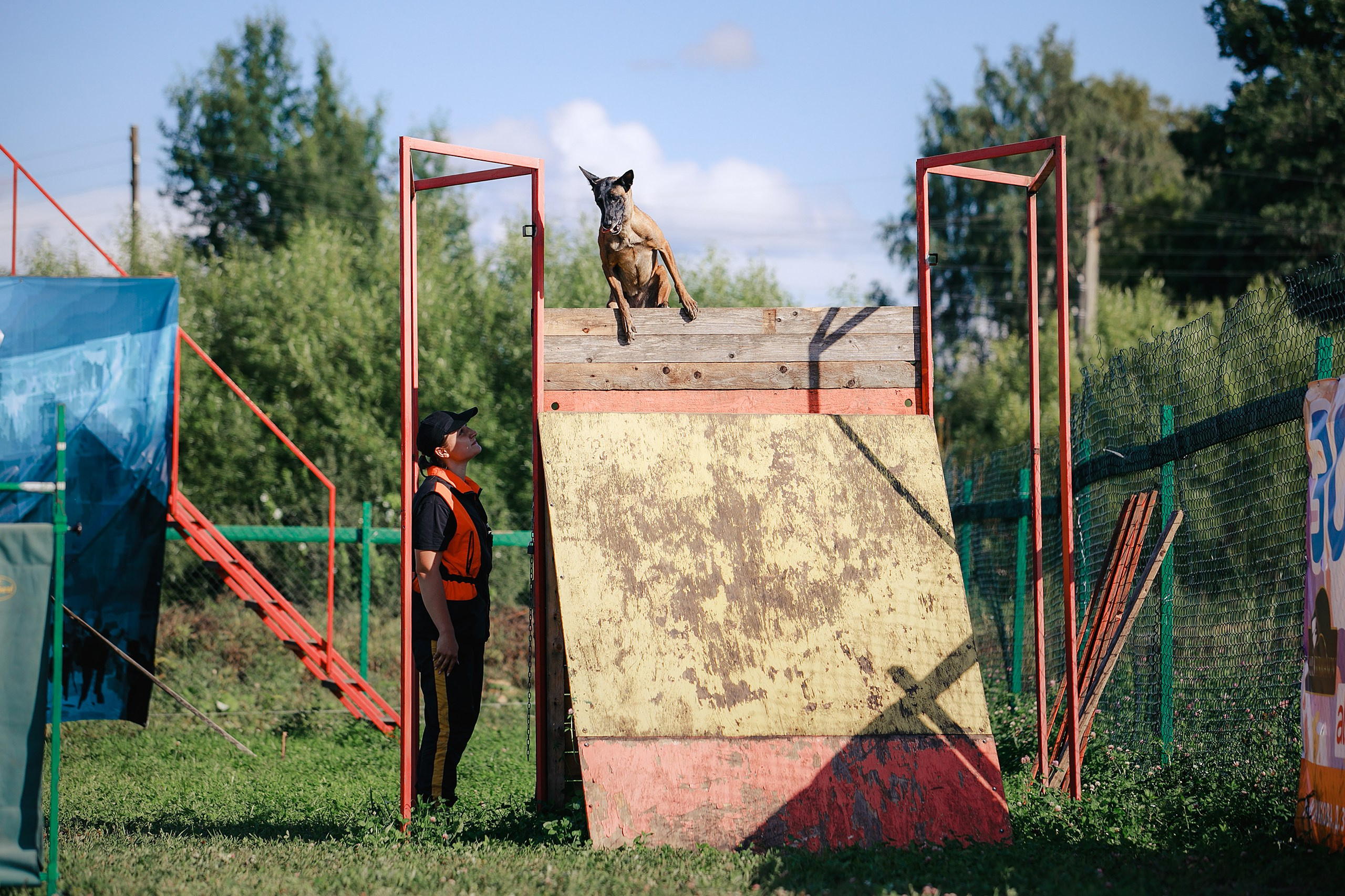 Мондьоринг М1, М2, М3, Вологда. Фотограф-анималист Mary Mart — Москва, Питер