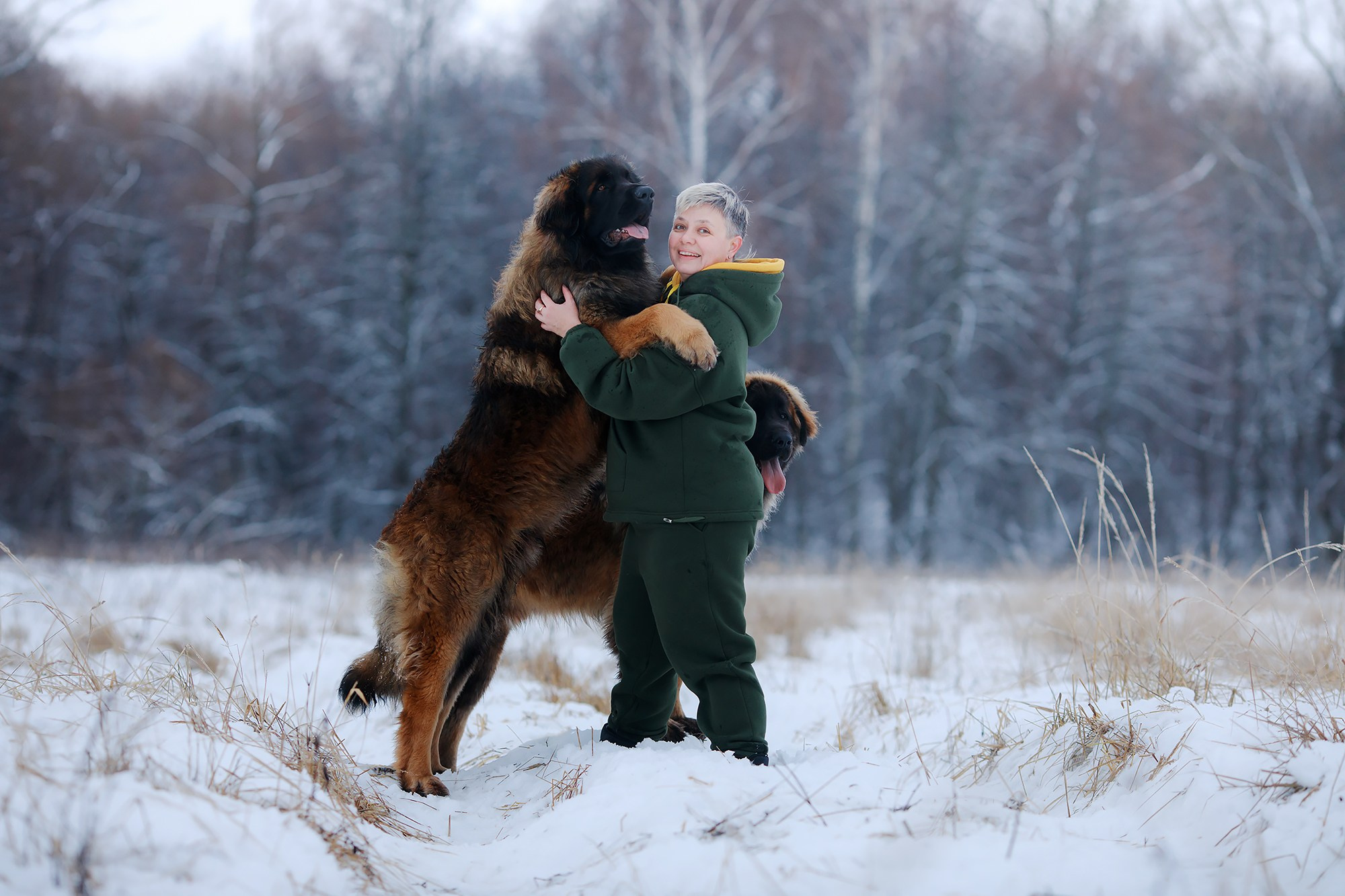 Леоненбергеры. Фотограф-анималист Mary Mart — Москва, Питер