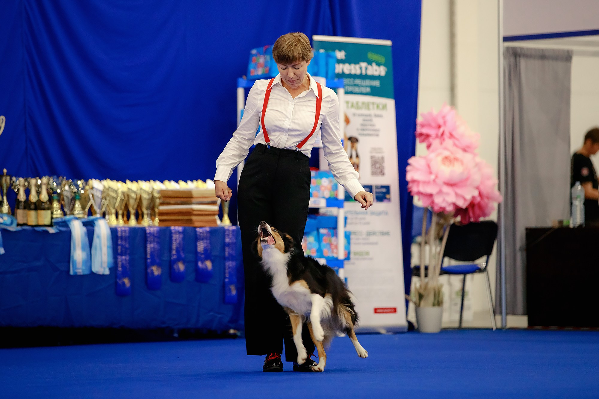 Танцы на выставке «Зоошоу», СПб. Фотограф-анималист Mary Mart — Москва, Питер