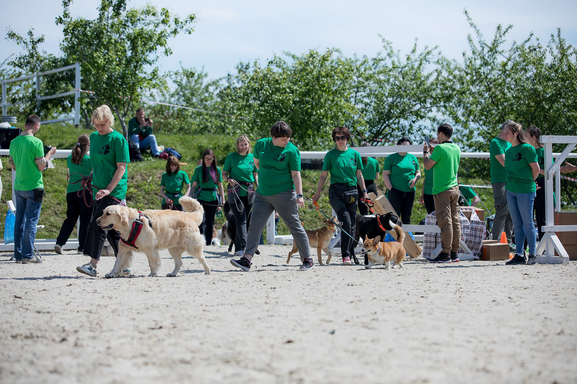 Показательные выступления по NoseWork на выставке «Россия». Фотограф-анималист Mary Mart — Москва, Питер