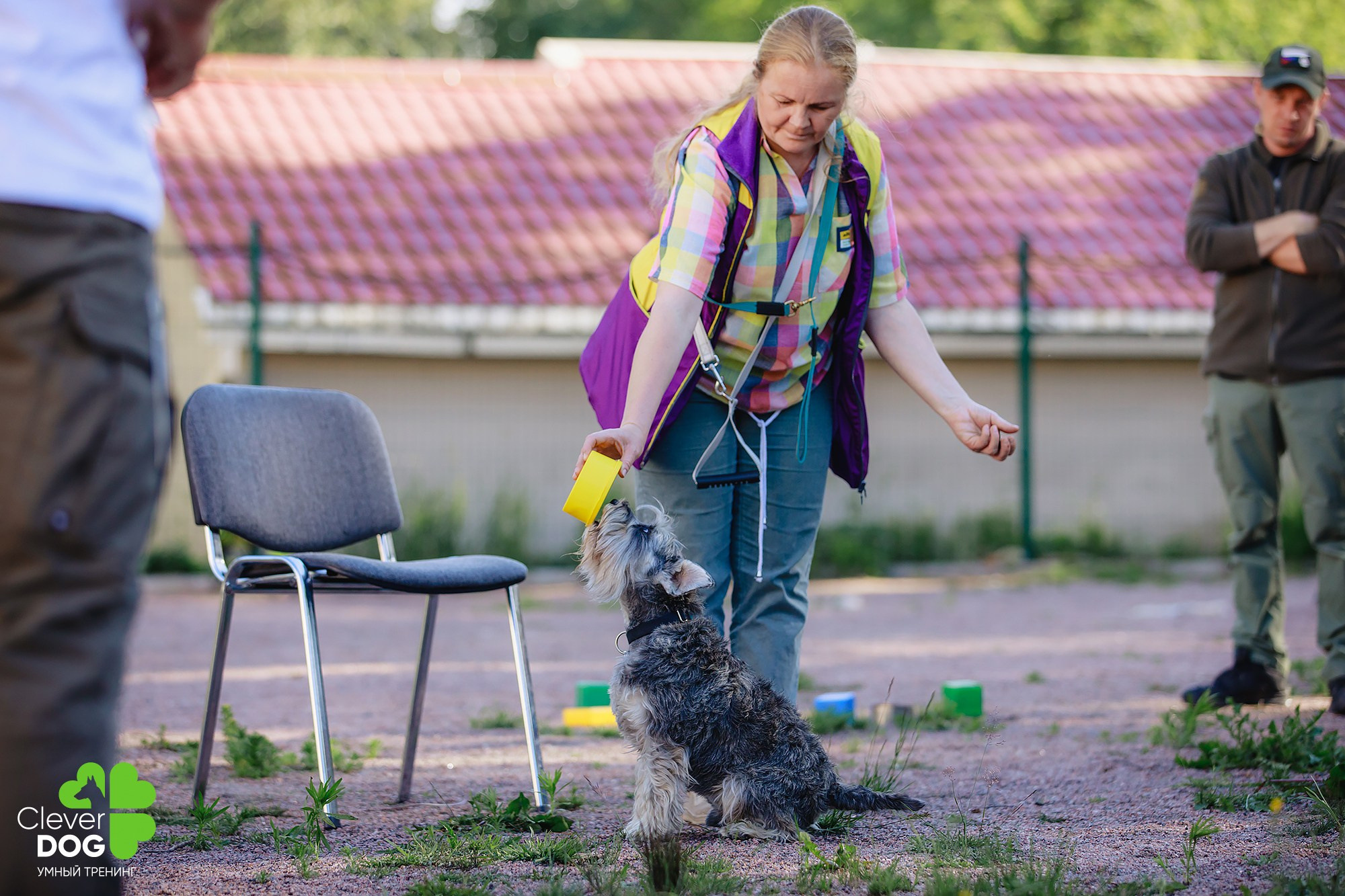 Семинар по поиску запаха с Иваном Ломовым, организатор CleverDog, СПб. Фотограф-анималист Mary Mart — Москва, Питер