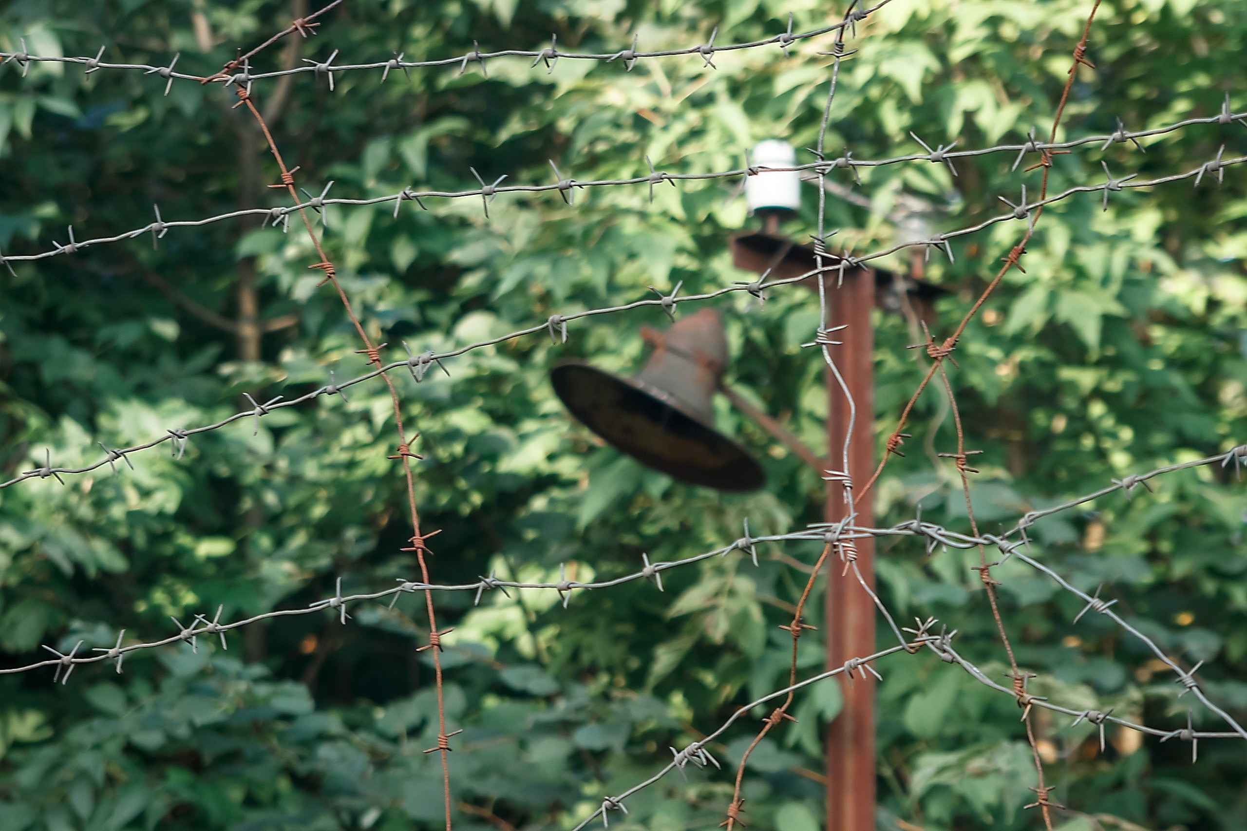 Границы и Рамки. Аmat Victoria Сuram