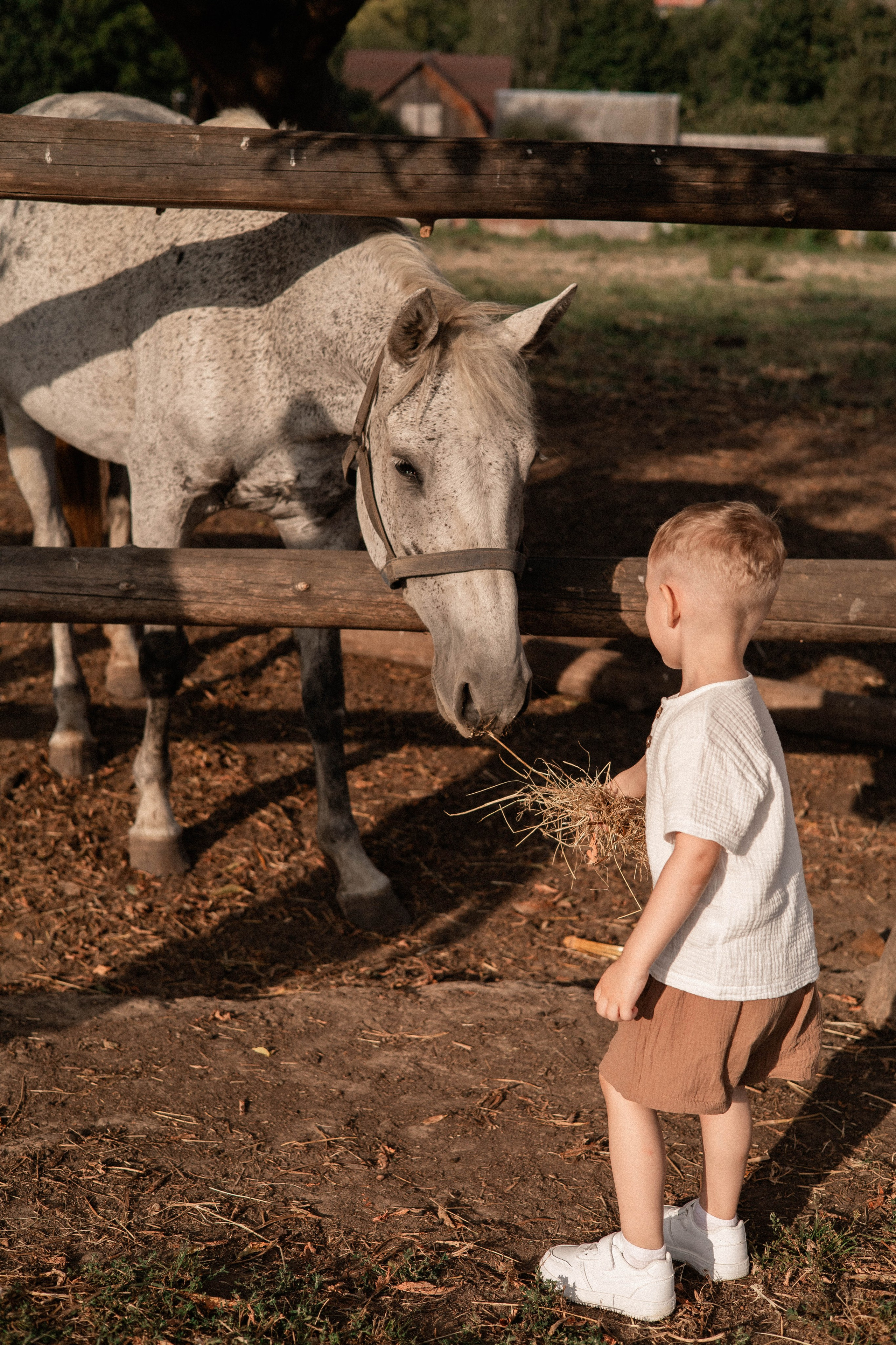 Давид, Настя и Дима. Свадебный и портретный фотограф Соломко Диана