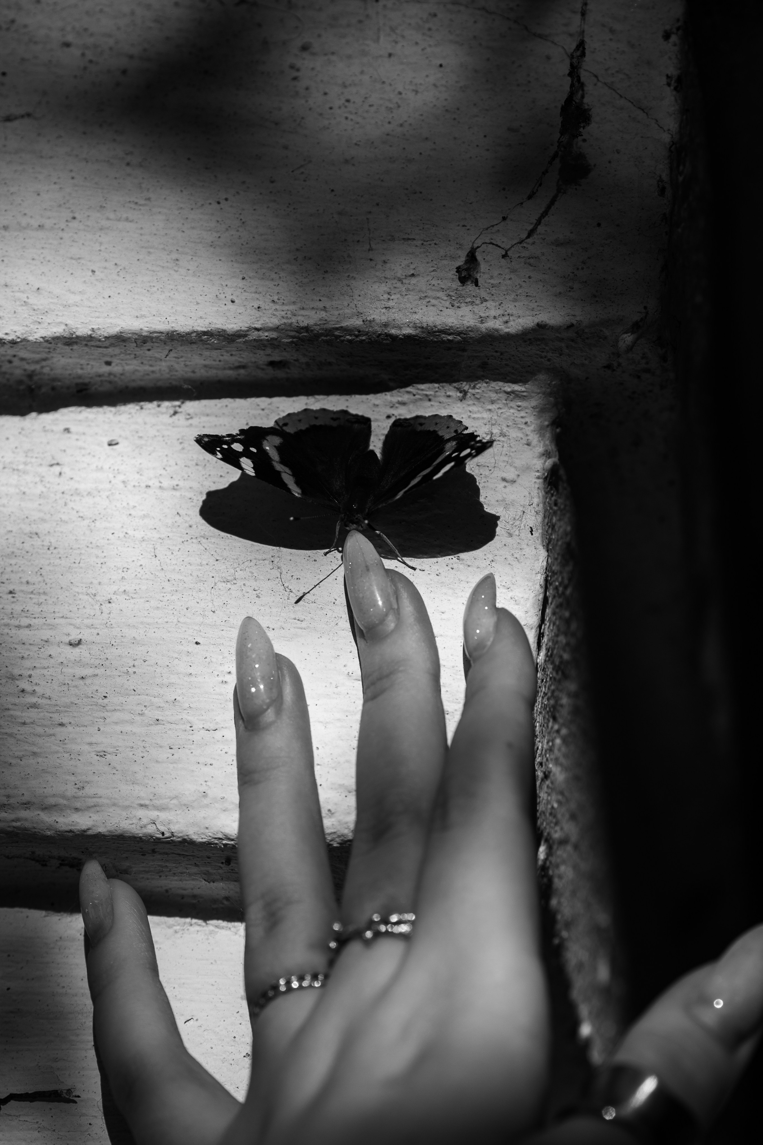 Olga N. Photo_artist