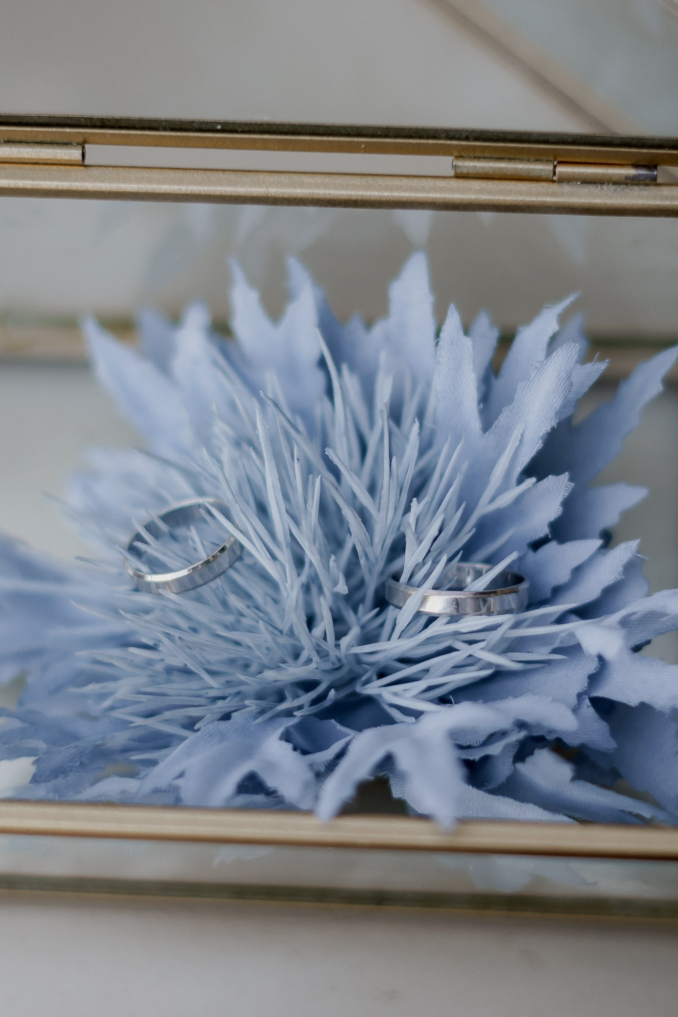 Андрей и Олеся. Фотограф Валерия Крахмалева