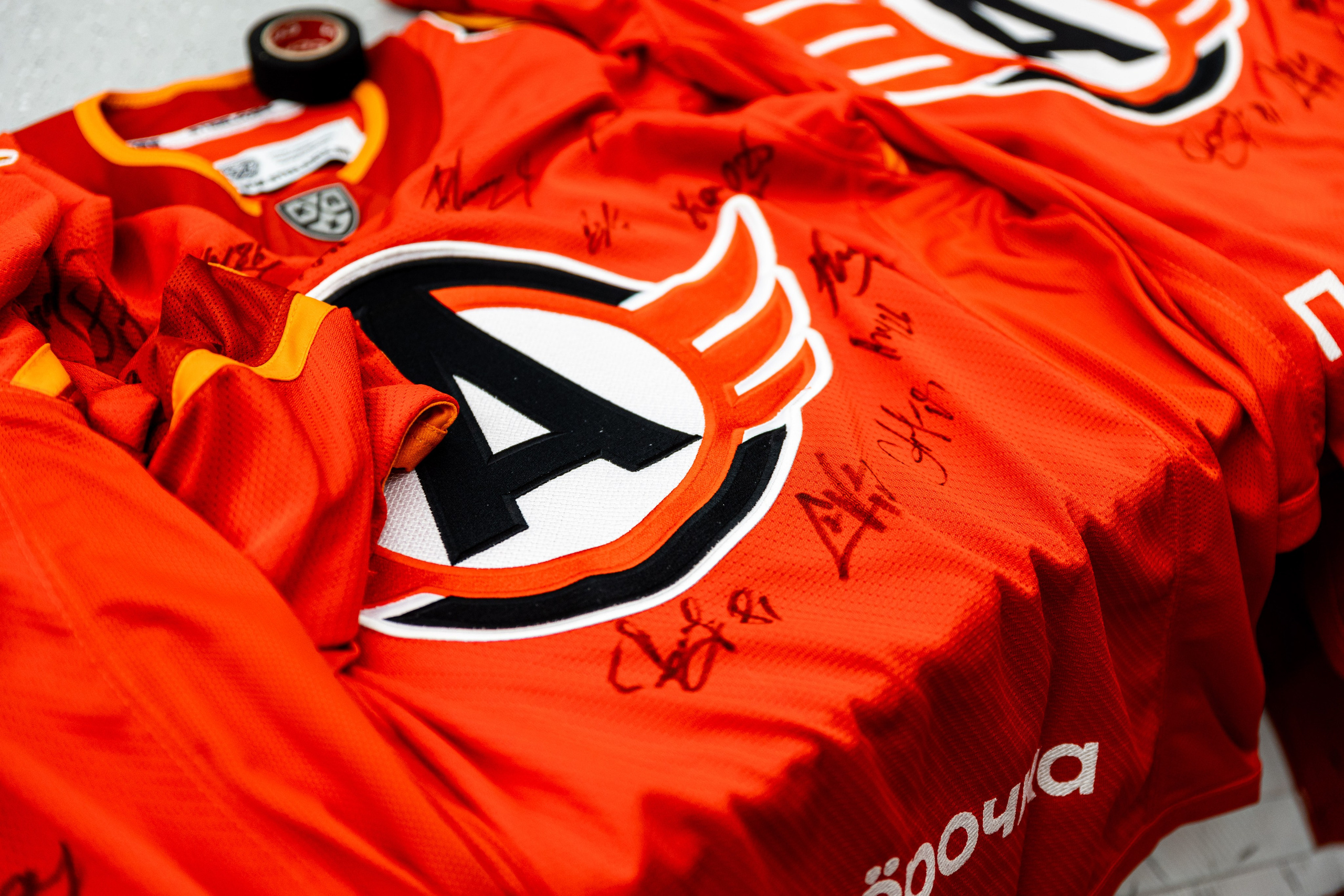 Хоккейный матч Автомобилист — Сибирь. Фотограф Родион Нарудинов