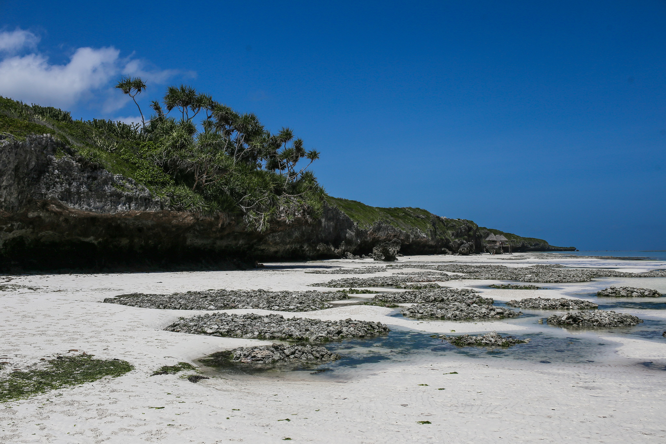 Остров Занзибар, Танзания. Фотограф Сергей Кишкель Дананг Нячанг Фукуок