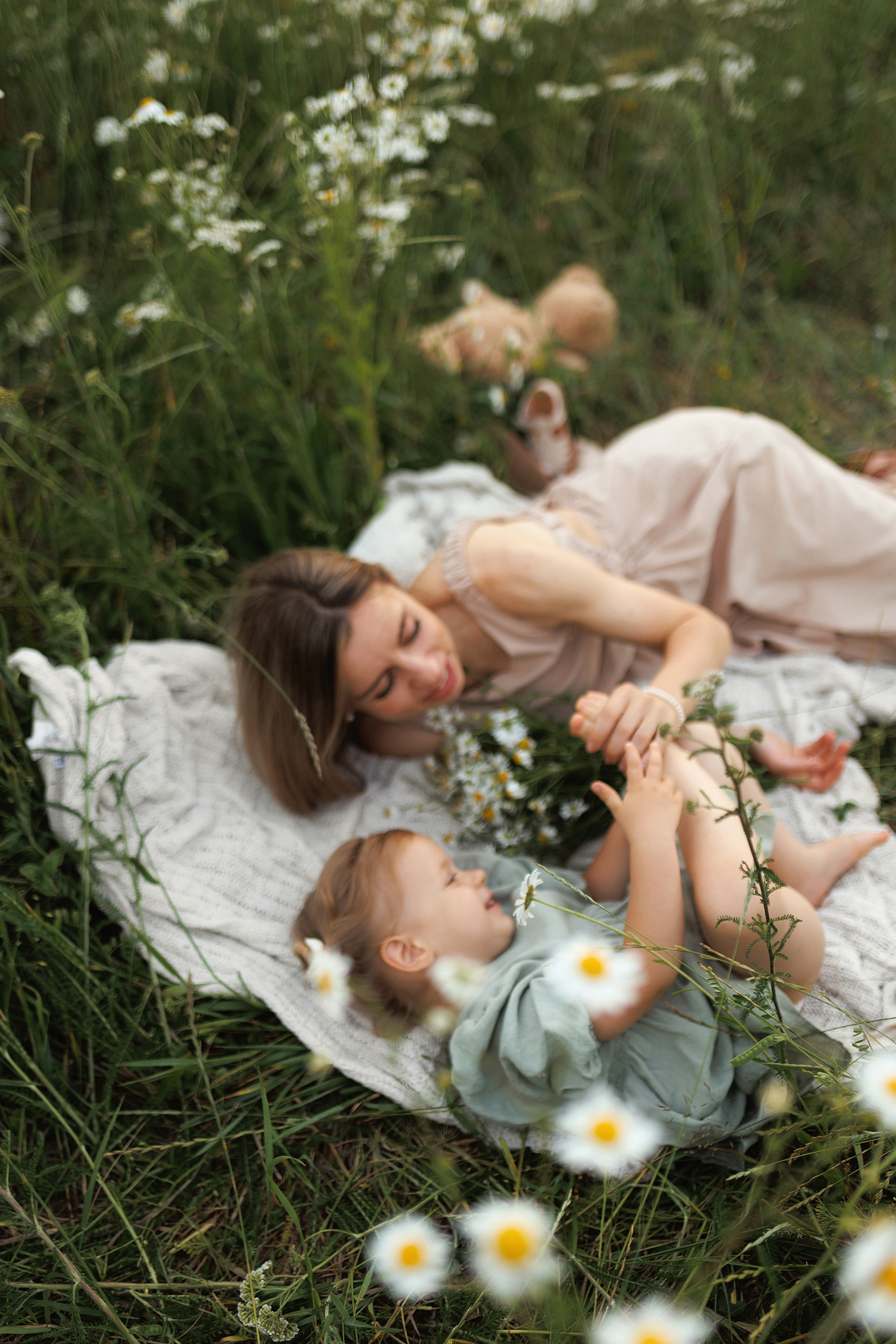 В ромашковом поле. Фотограф в Красногорске и Москве