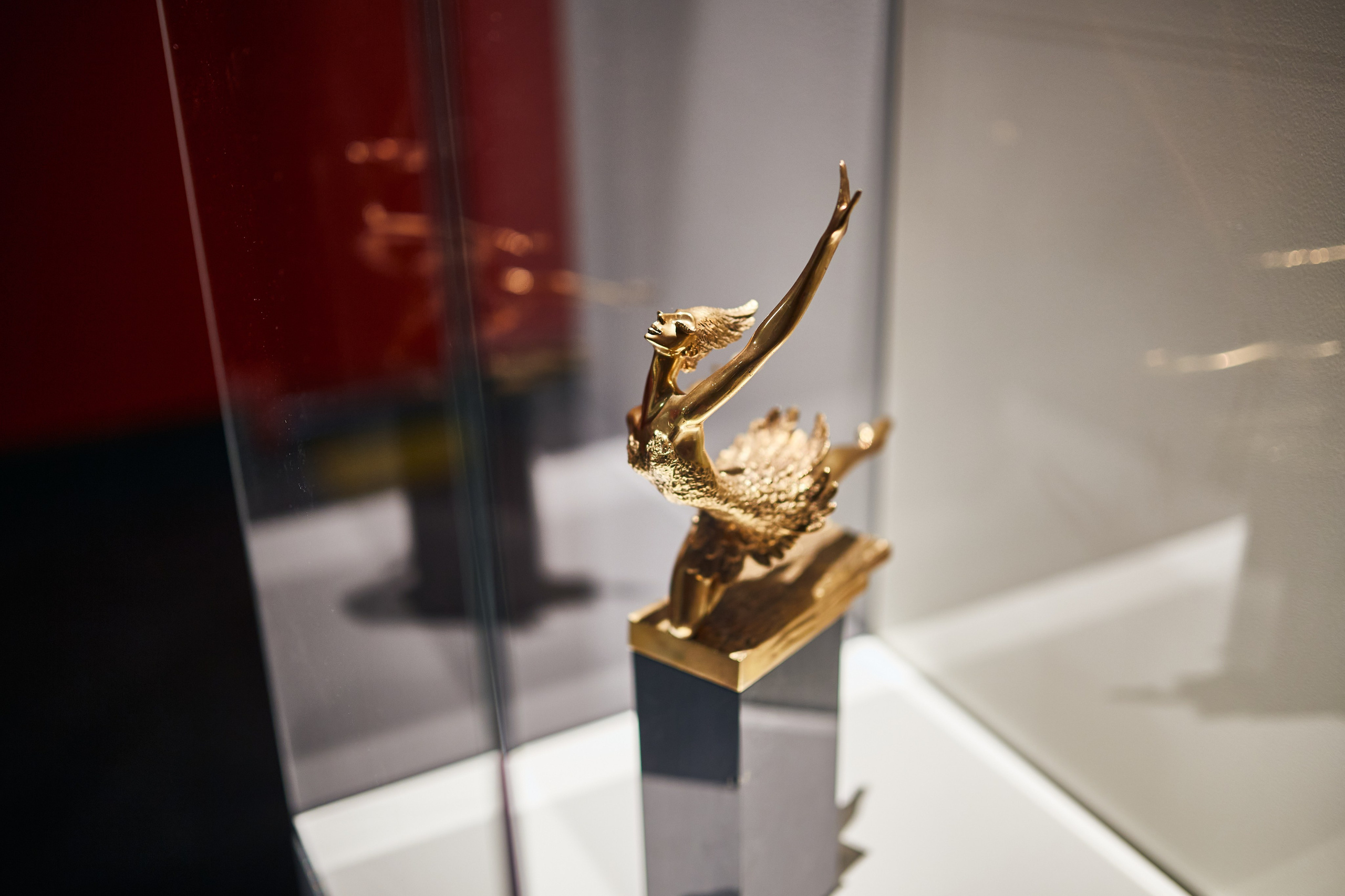 Выставка «Майя Плисецкая. Полюс магии». Даниил Гузиенко — репортажный фотограф в Туле