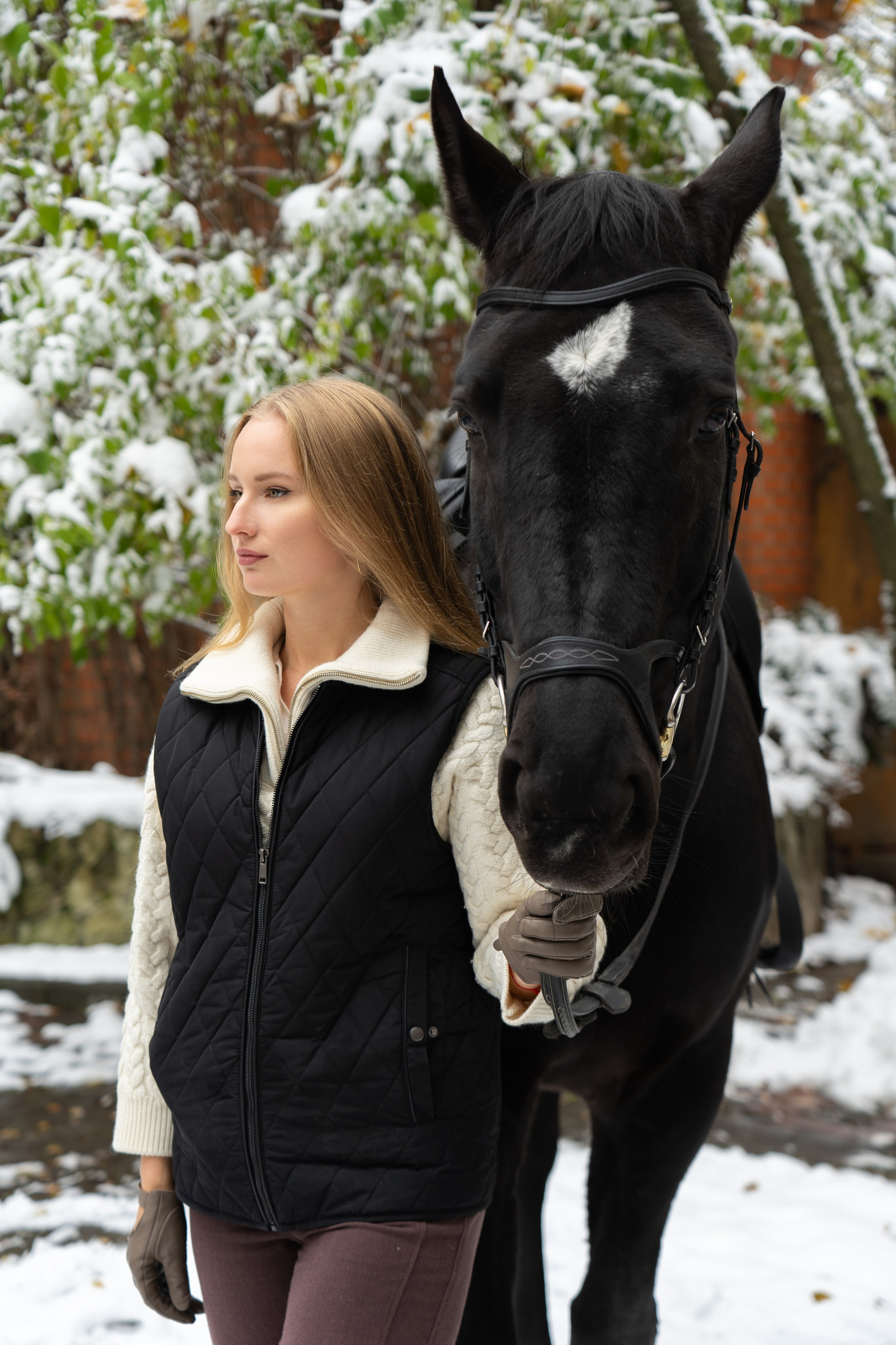 Фотосессия с лошадьми. Главная