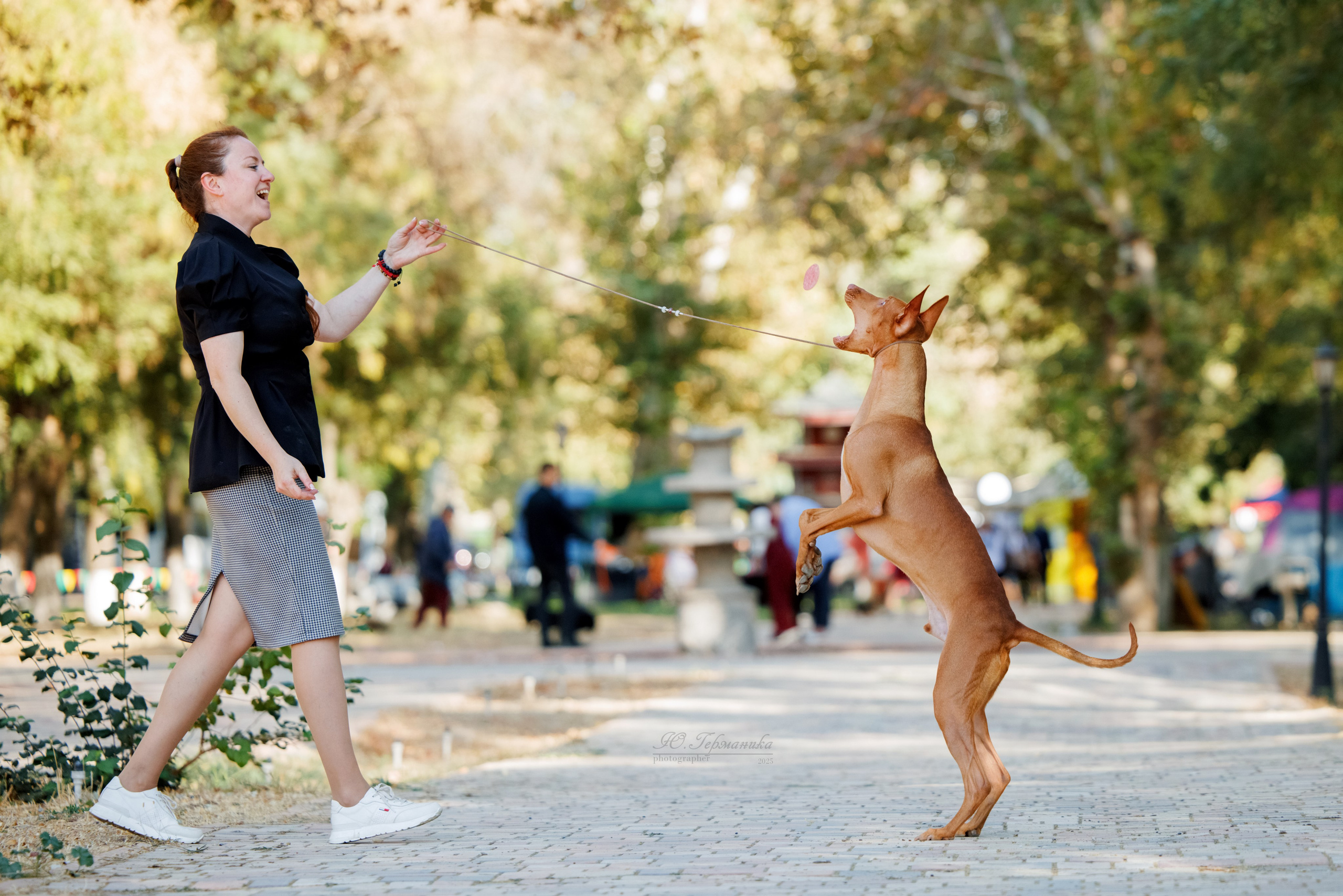 Ташкент 3хCACIB 3-5.10.2025. Фотограф-анималист Юлия Германика