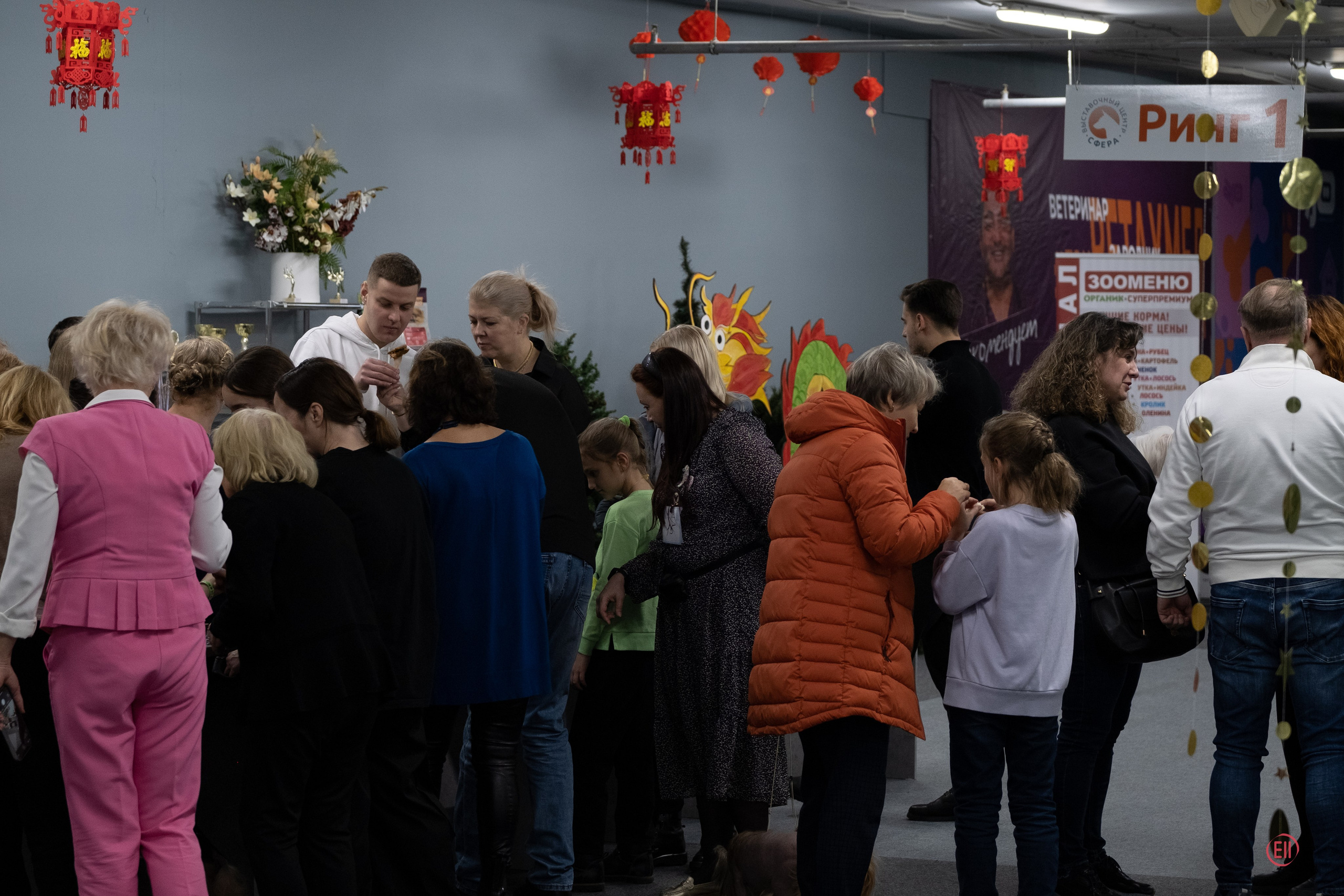 Праздник породы «Яркий мир китайских хохлатых собак». Питомник китайских хохлатых собак Poale Ell: купить щенка