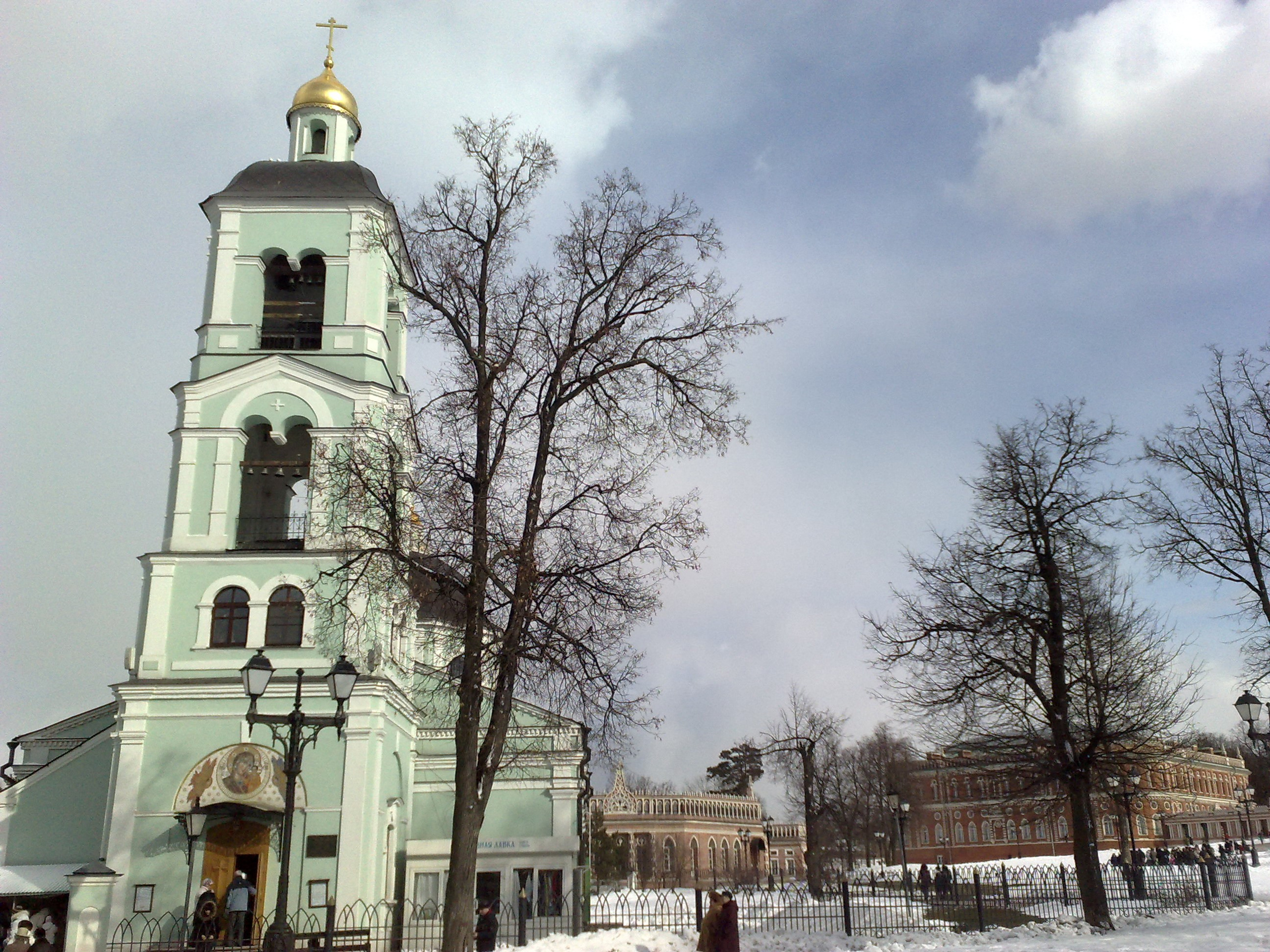 Царицино музей-усадьба. Питомник китайских хохлатых собак Poale Ell: купить щенка в питомнике