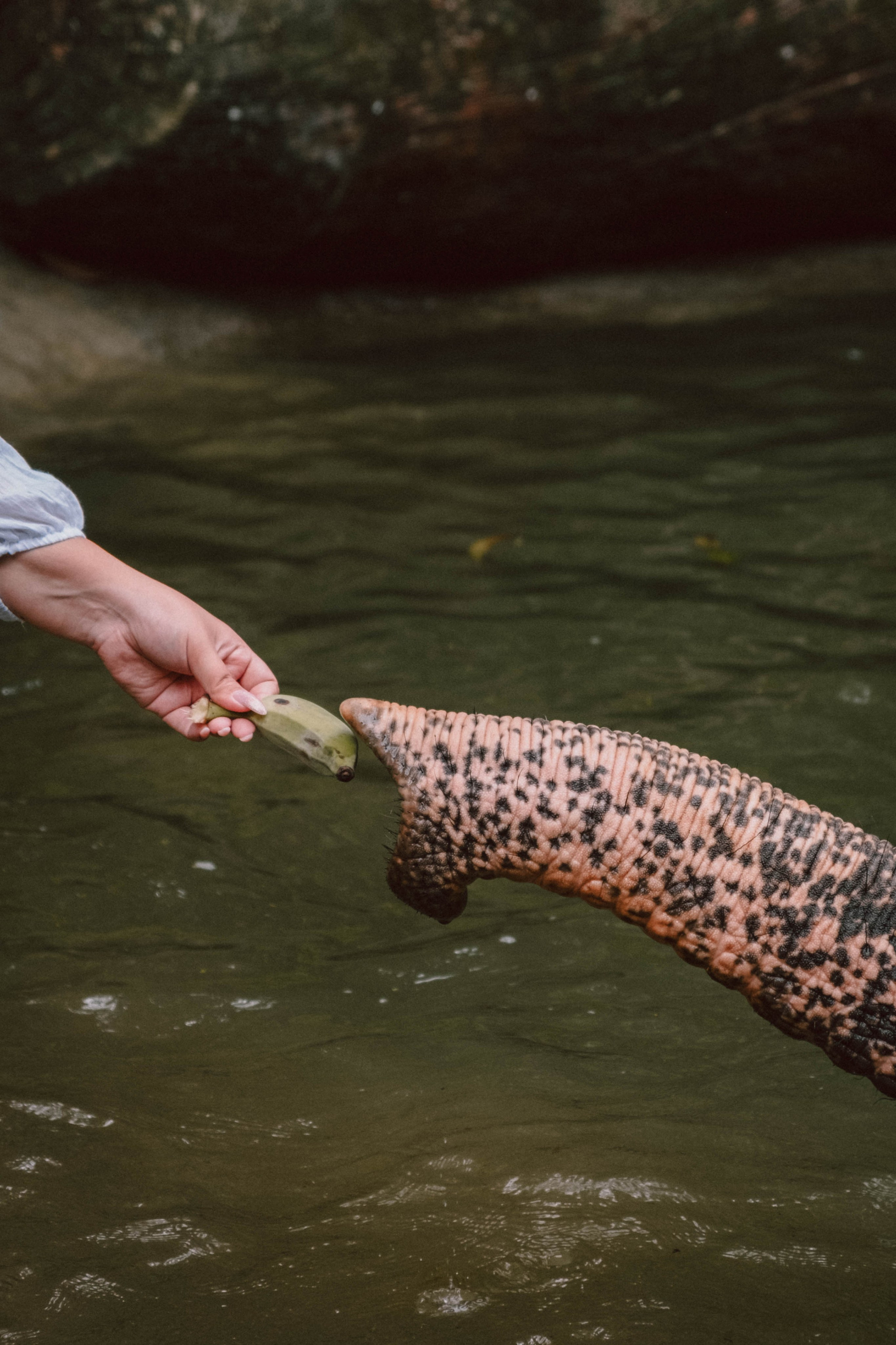 Путешествия. Контент-фотограф и видеограф в Перми