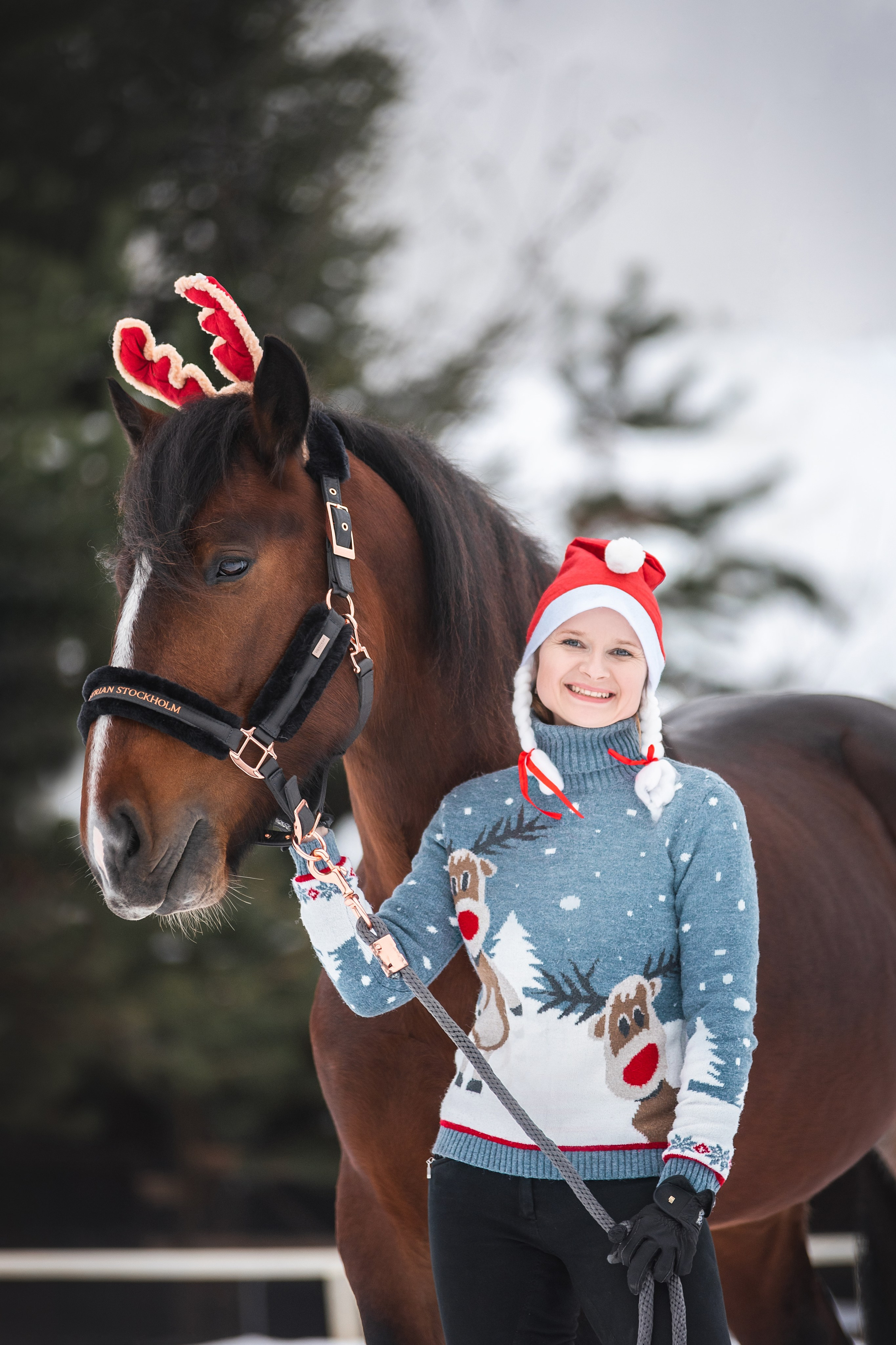 Новогодний Волконский. Конный фотограф Куракина Дарья • Фотосессии с лошадьми
