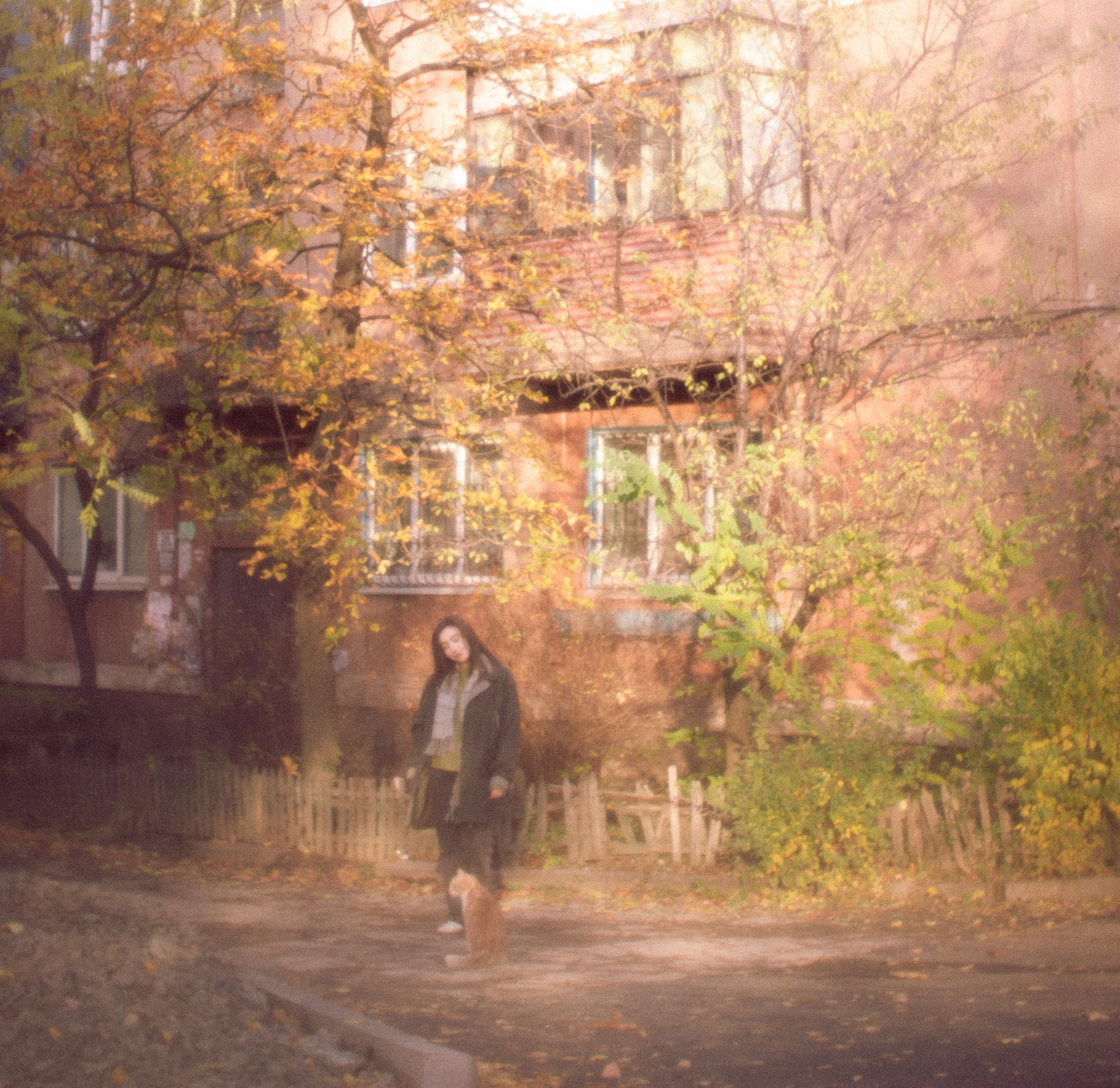 Аромат осеннего света. • Фотограф Александра Светозар Алчевск •