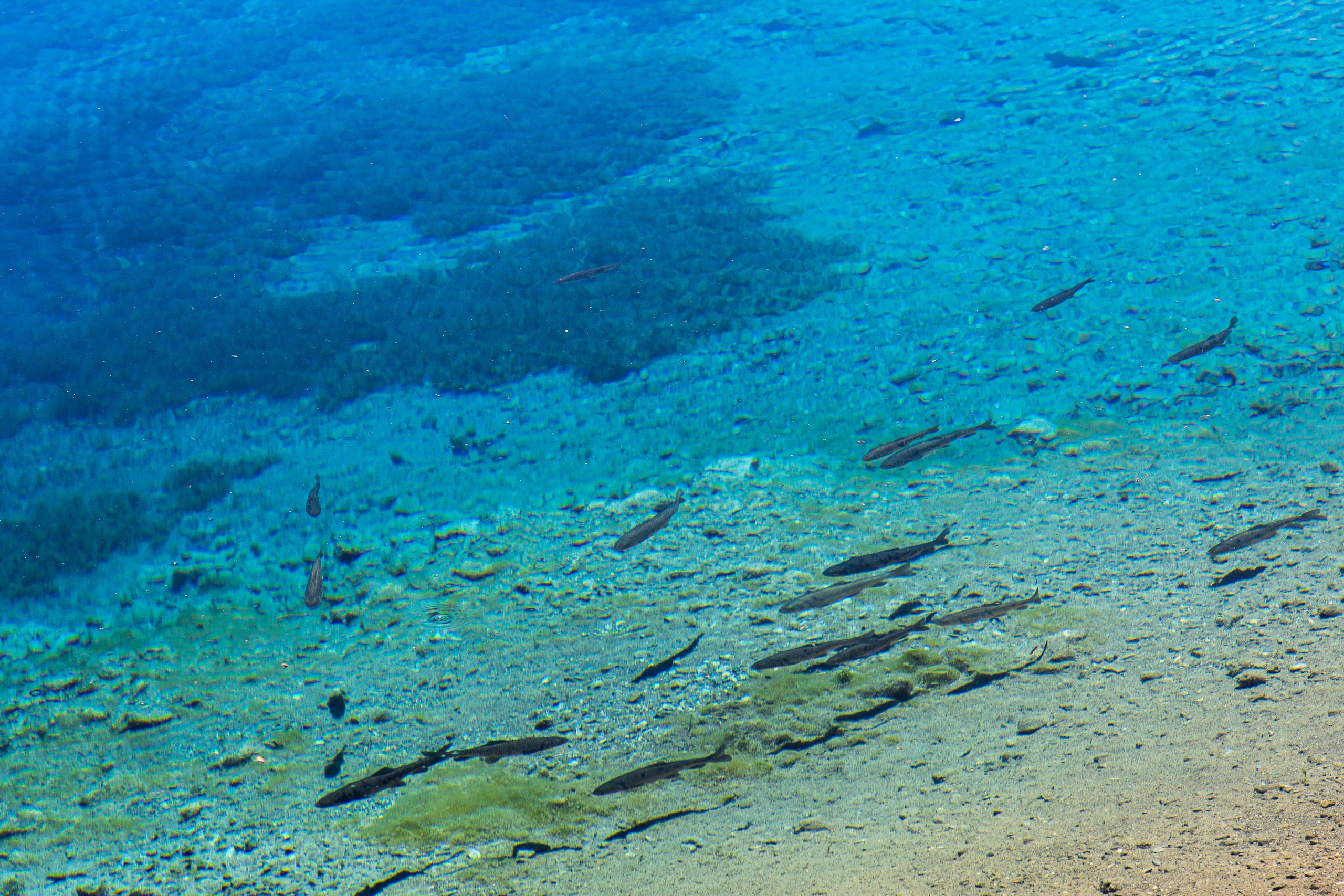 Таджикистан. Добродеева Алла фотограф, Москва