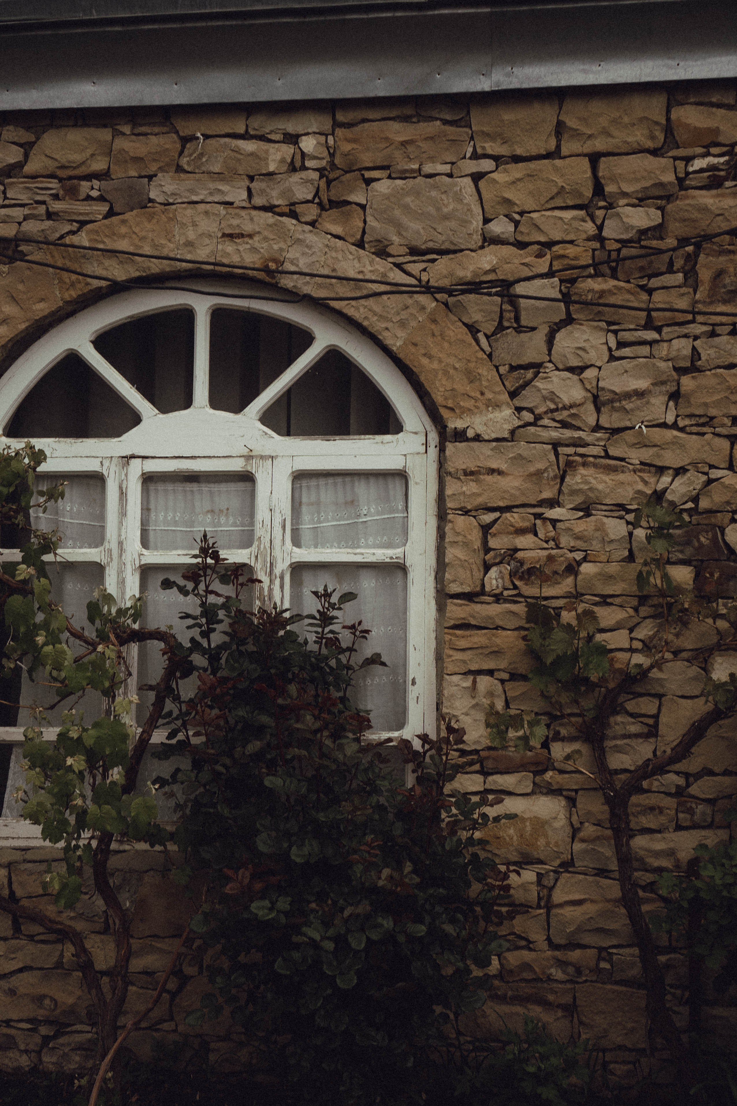 Путешествие в Дагестане. Профессиональный фотограф, Санкт-Петербург — Виктория Богомолова