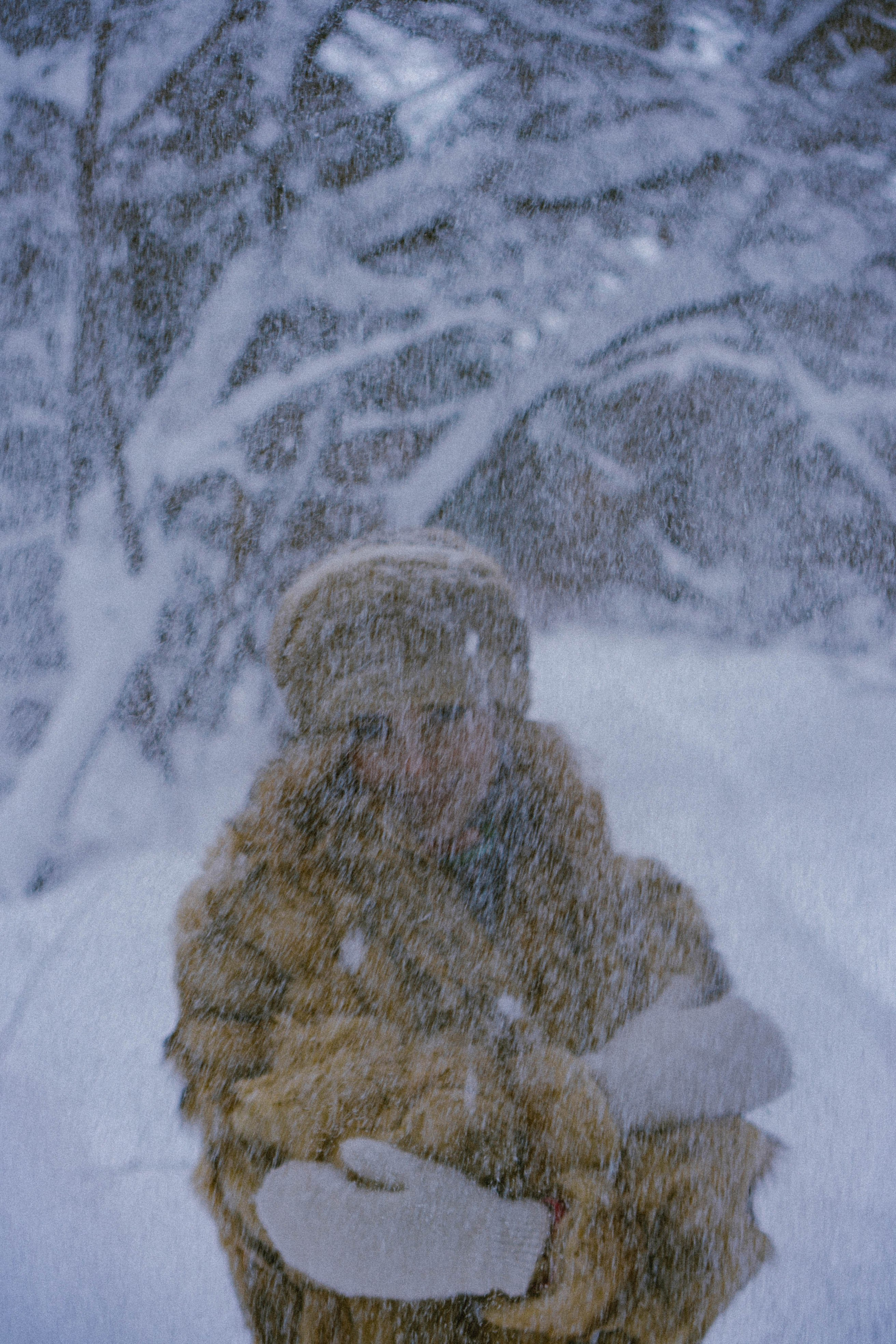 Русский стиль. Профессиональный фотограф, Санкт-Петербург — Виктория Богомолова