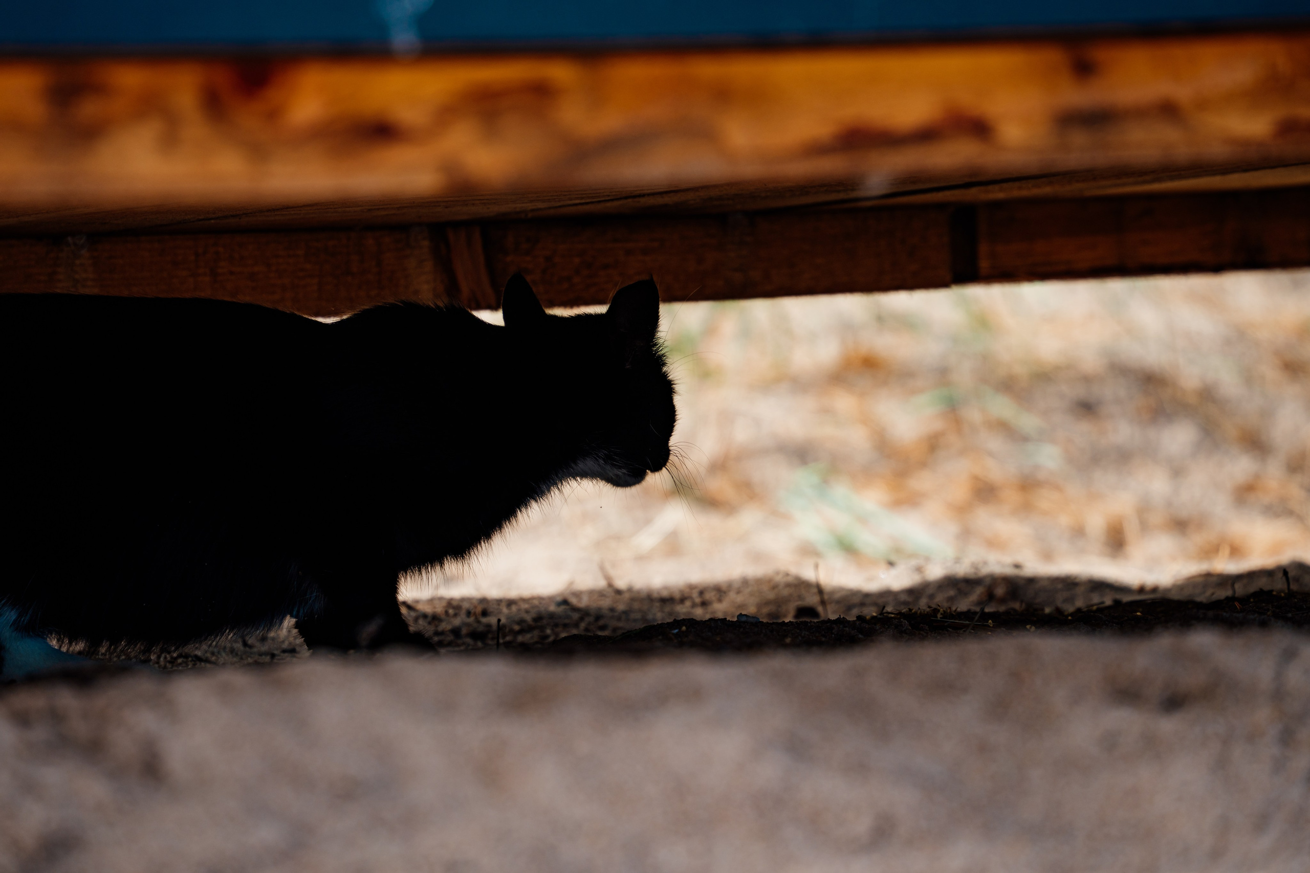 СЕВЕР. Event фотограф Степанова Александра