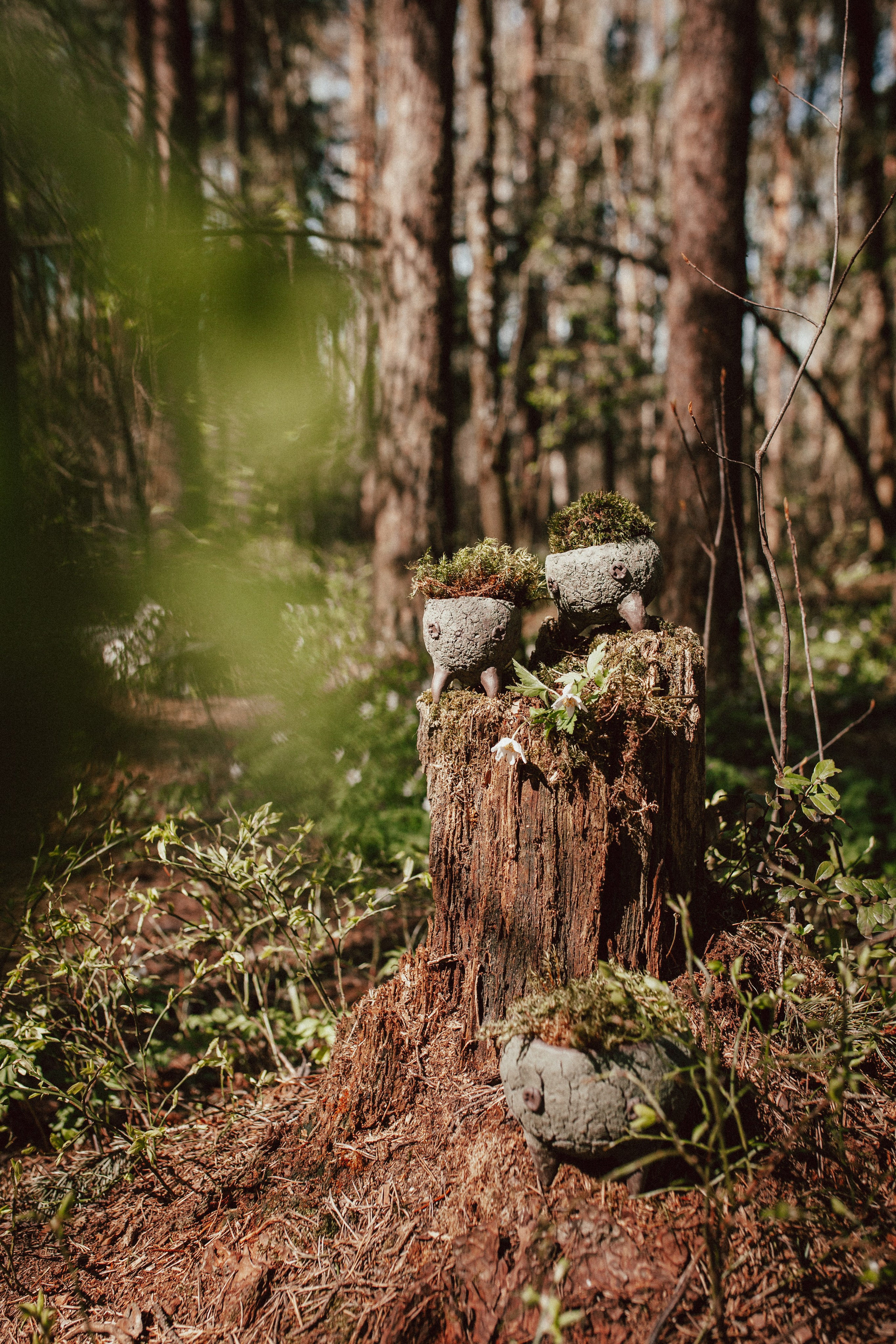 Баканов Мануфактура. Изделия из керамики. Семейный фотограф во Всеволожске и Санкт-Петербурге Юлия Капустина