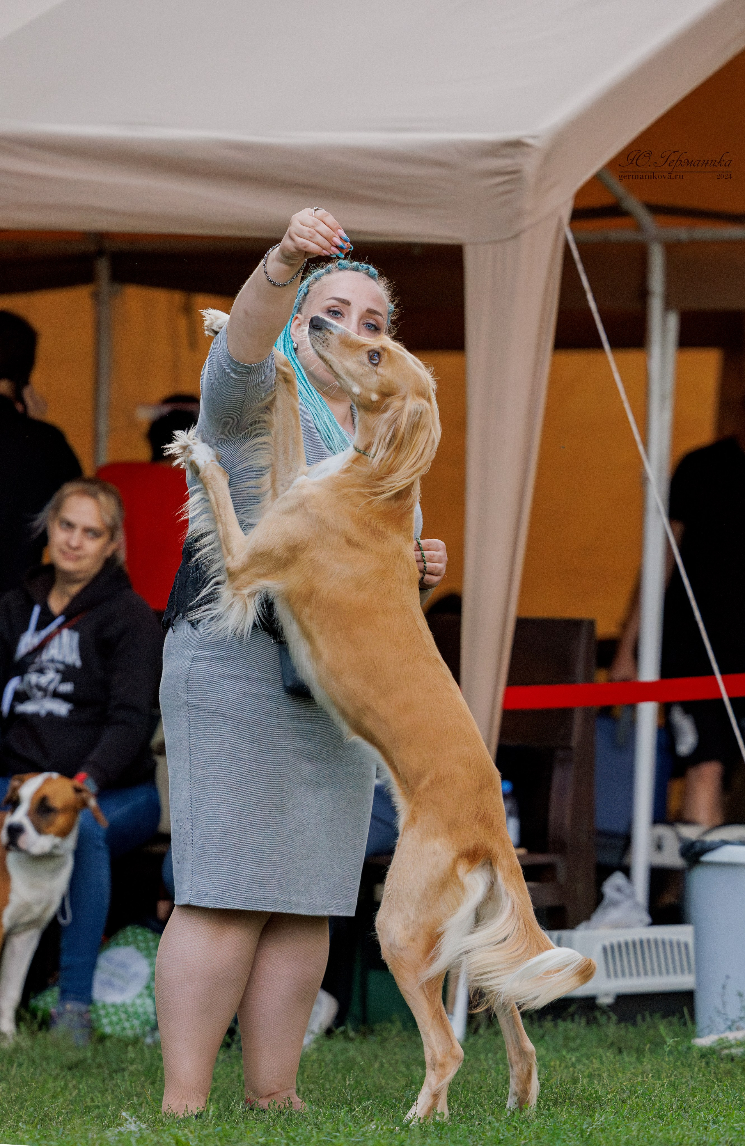 Астана 2хCACIB 17-18.08.2024. Фотограф-анималист Юлия Германика