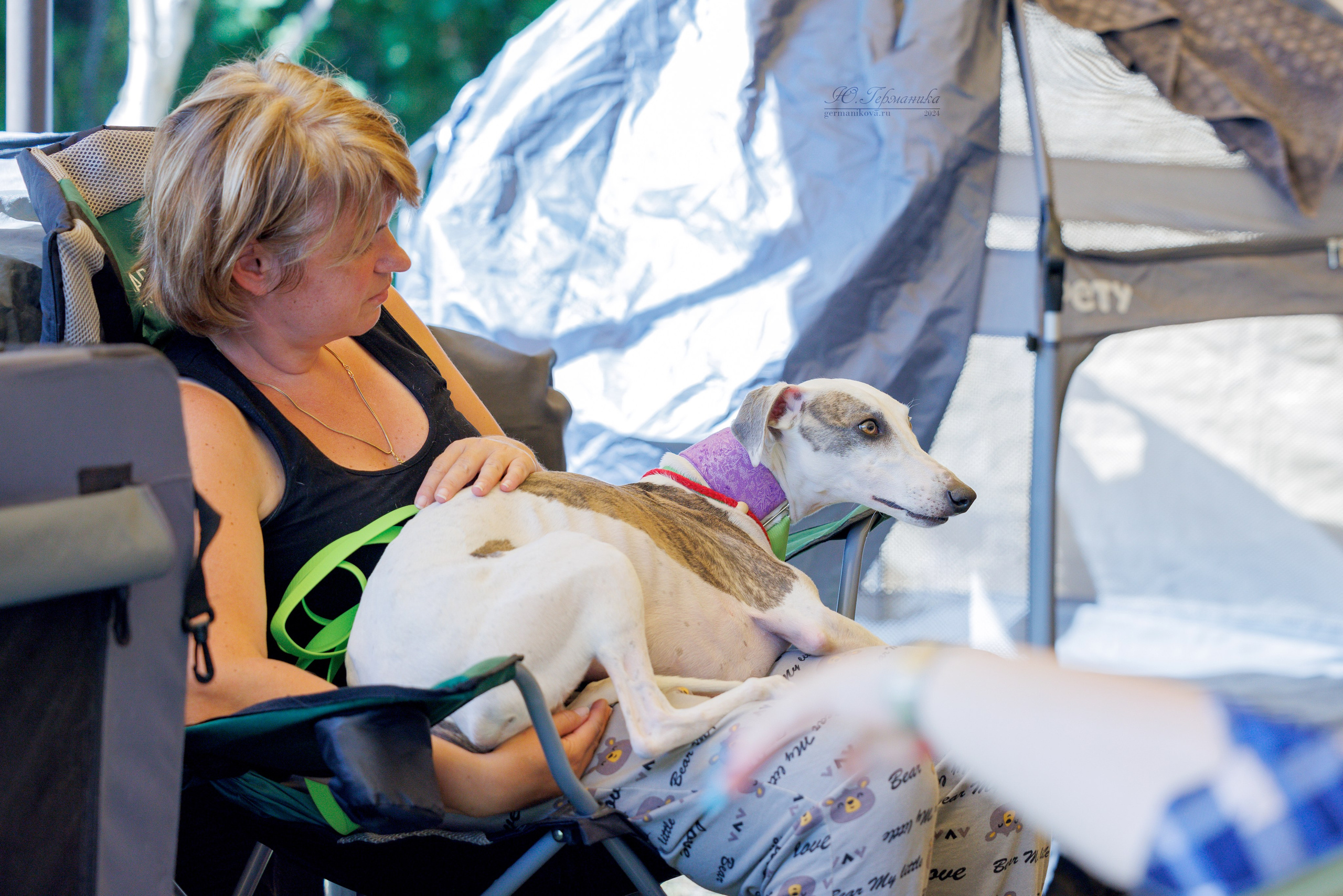 Астана 2хCACIB 17-18.08.2024. Фотограф-анималист Юлия Германика