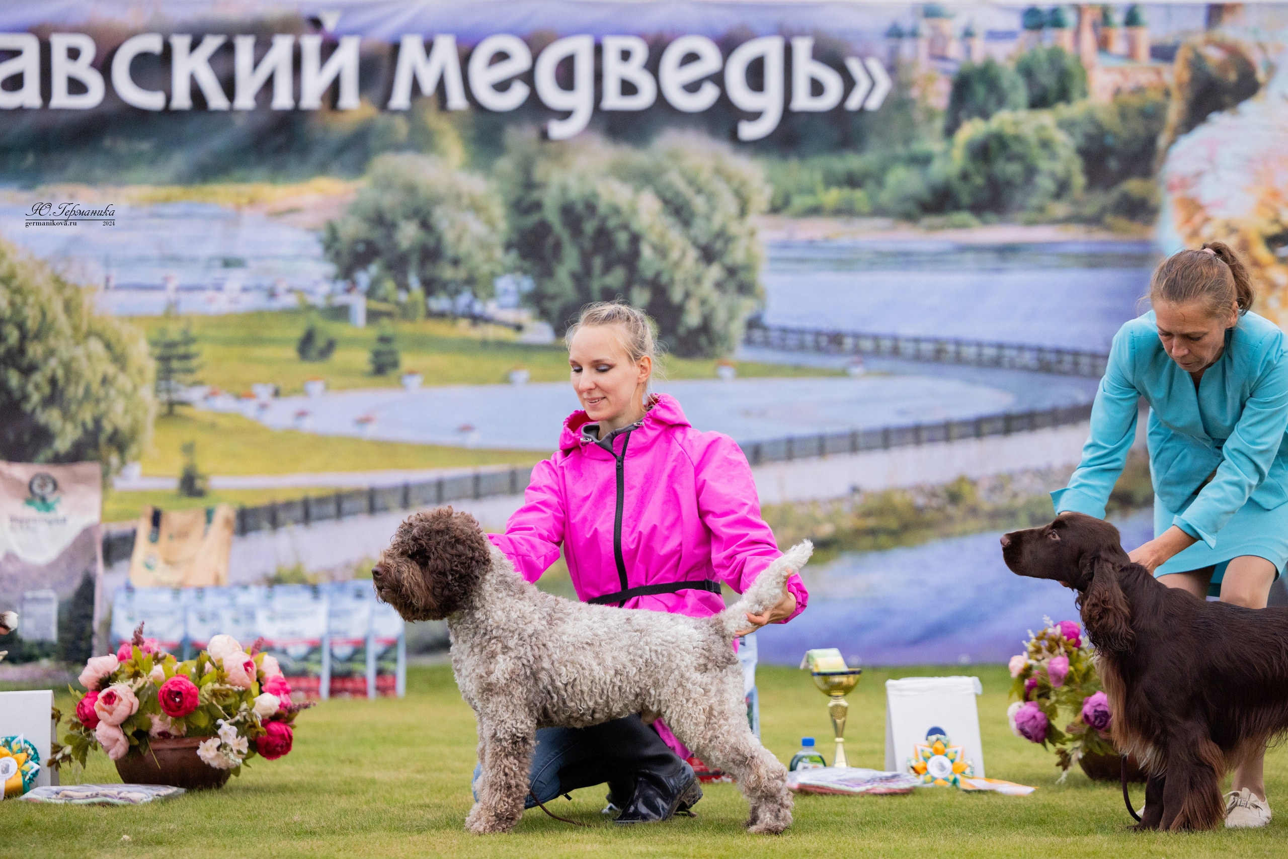 Ярославль 21.07.24 и Балашиха 13.07.24. Фотограф-анималист Юлия Германика